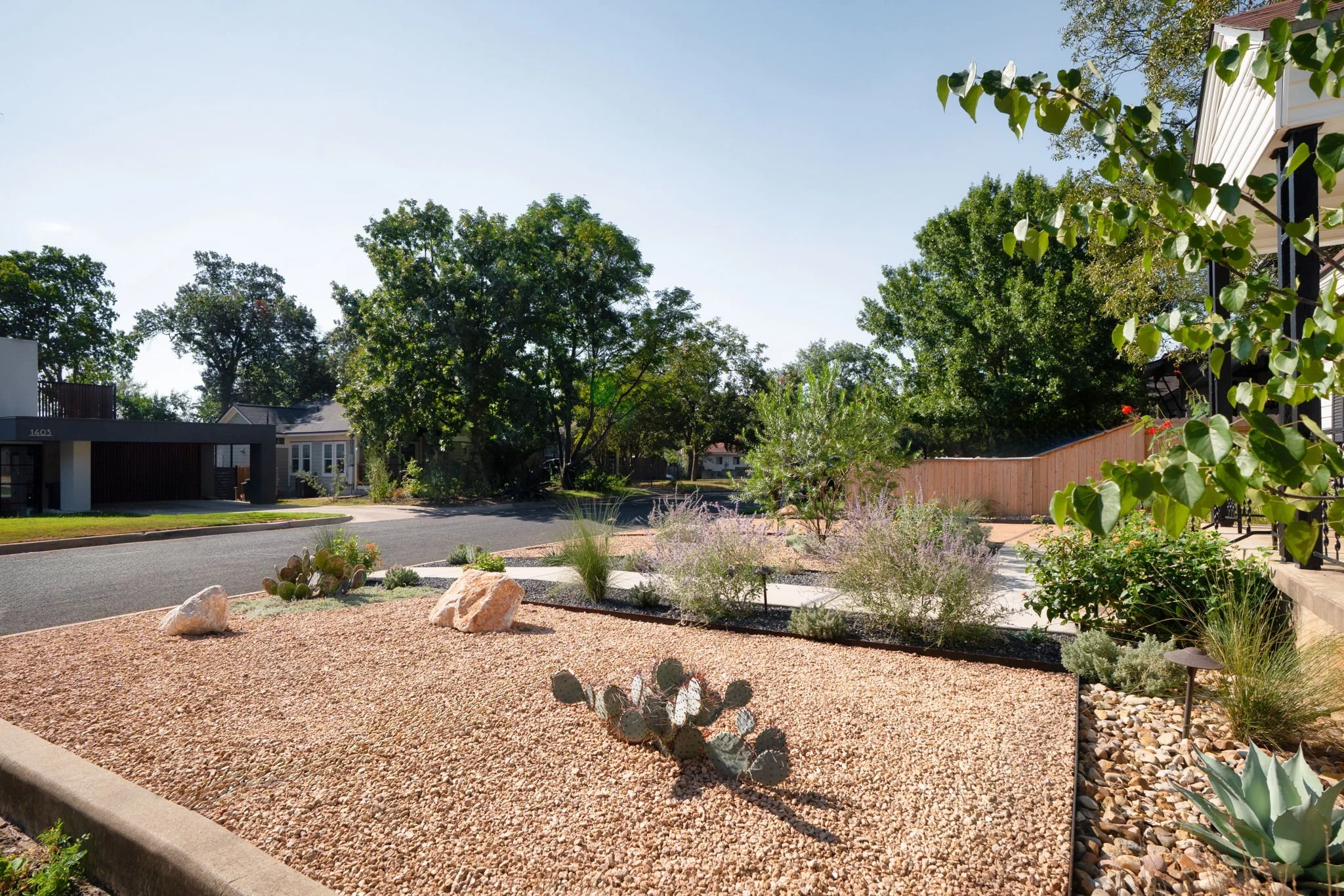 Curbside gravel yard with prickly pear, limestone boulders, and perennial beds under mature shade trees