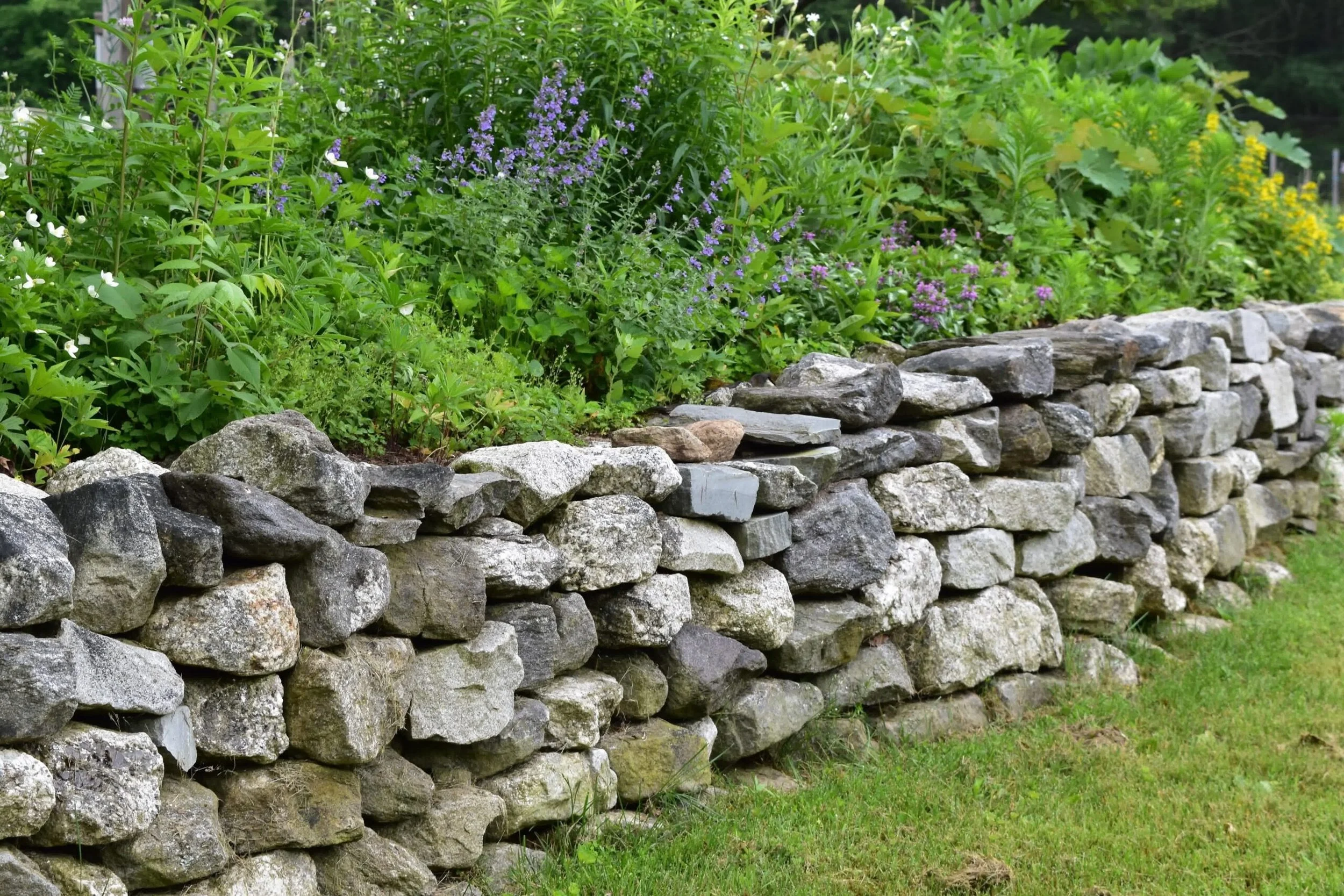 Rustic dry-stacked stone retaining wall supporting a lush flower garden with purple and white blooms and dense green foliage.