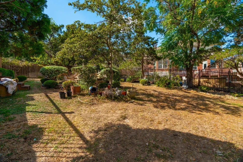 Backyard with leaf buildup and untrimmed shrubs, showing yard clean-up needs before Austin’s spring growth kicks in.