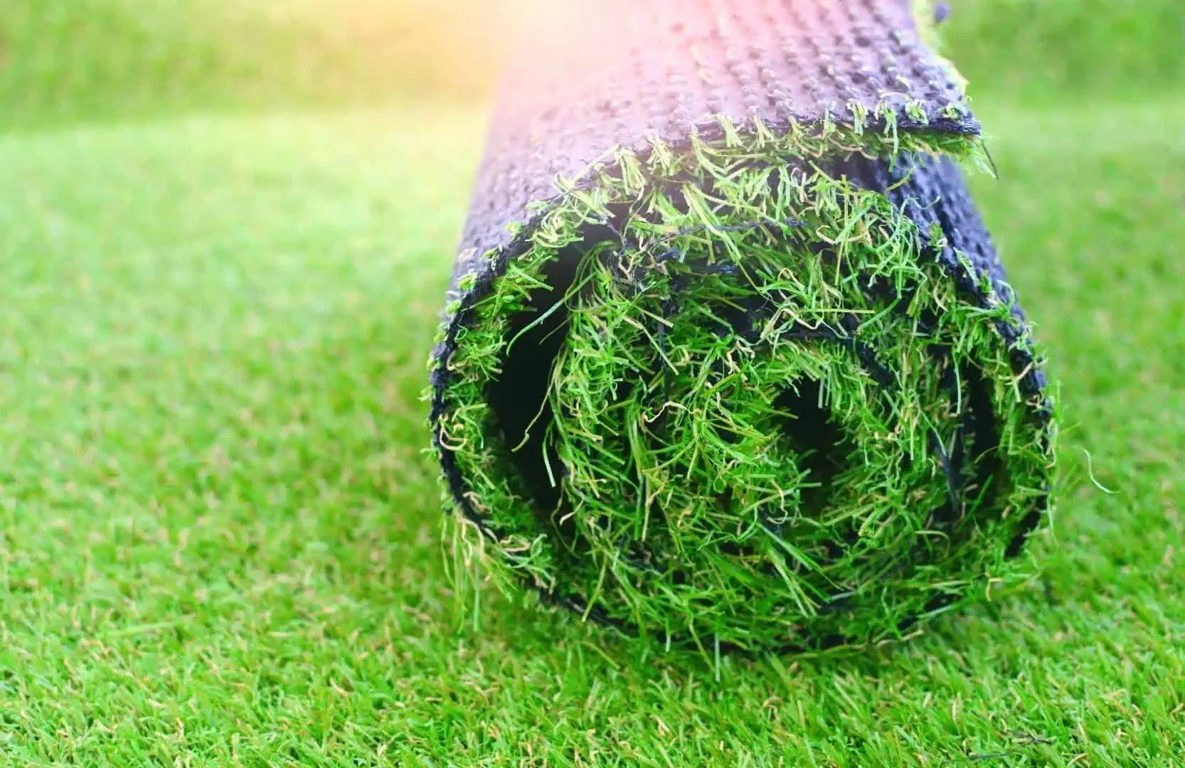 southern-love-landscape-design-services-artificial-turf-in-cedar-park