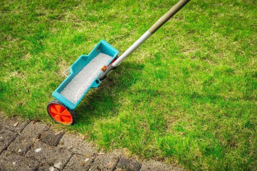Fertilizing lawn.