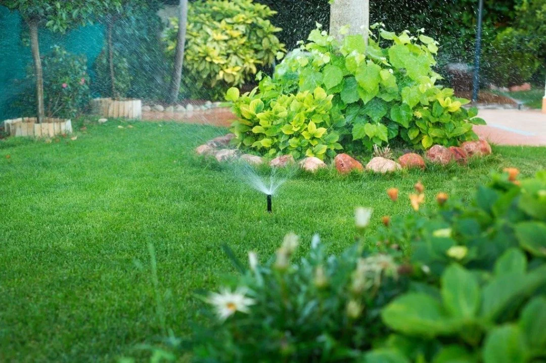 Multiple sprinklers watering a large lawn.