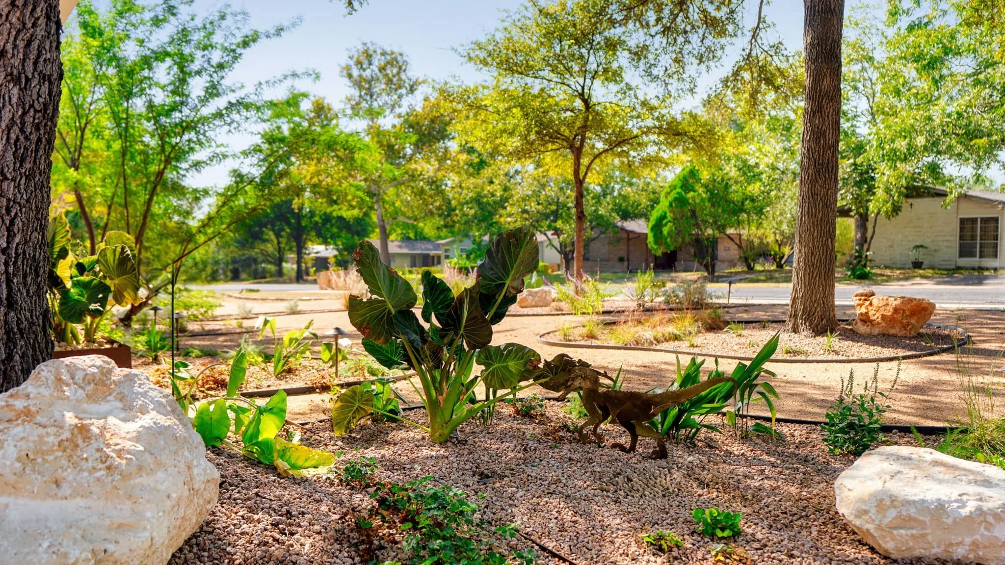 Residential landscape design with wood fence accents and low-maintenance greenery — Southern Love