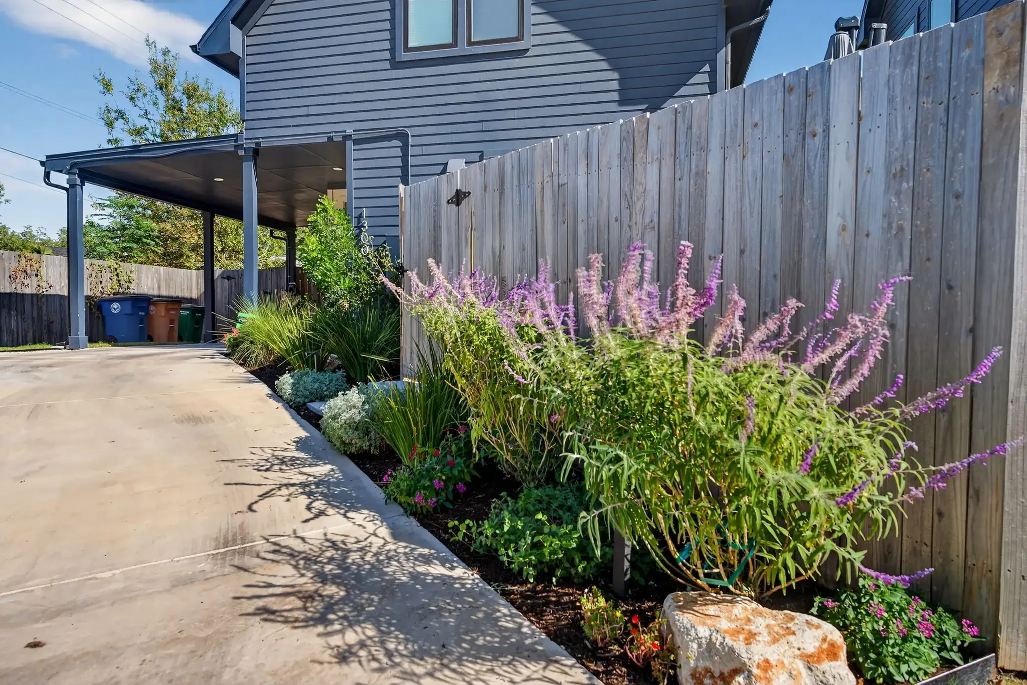 Wood privacy fence borders a driveway with lush garden bed featuring lavender flowers, grasses, and colorful ground cover.