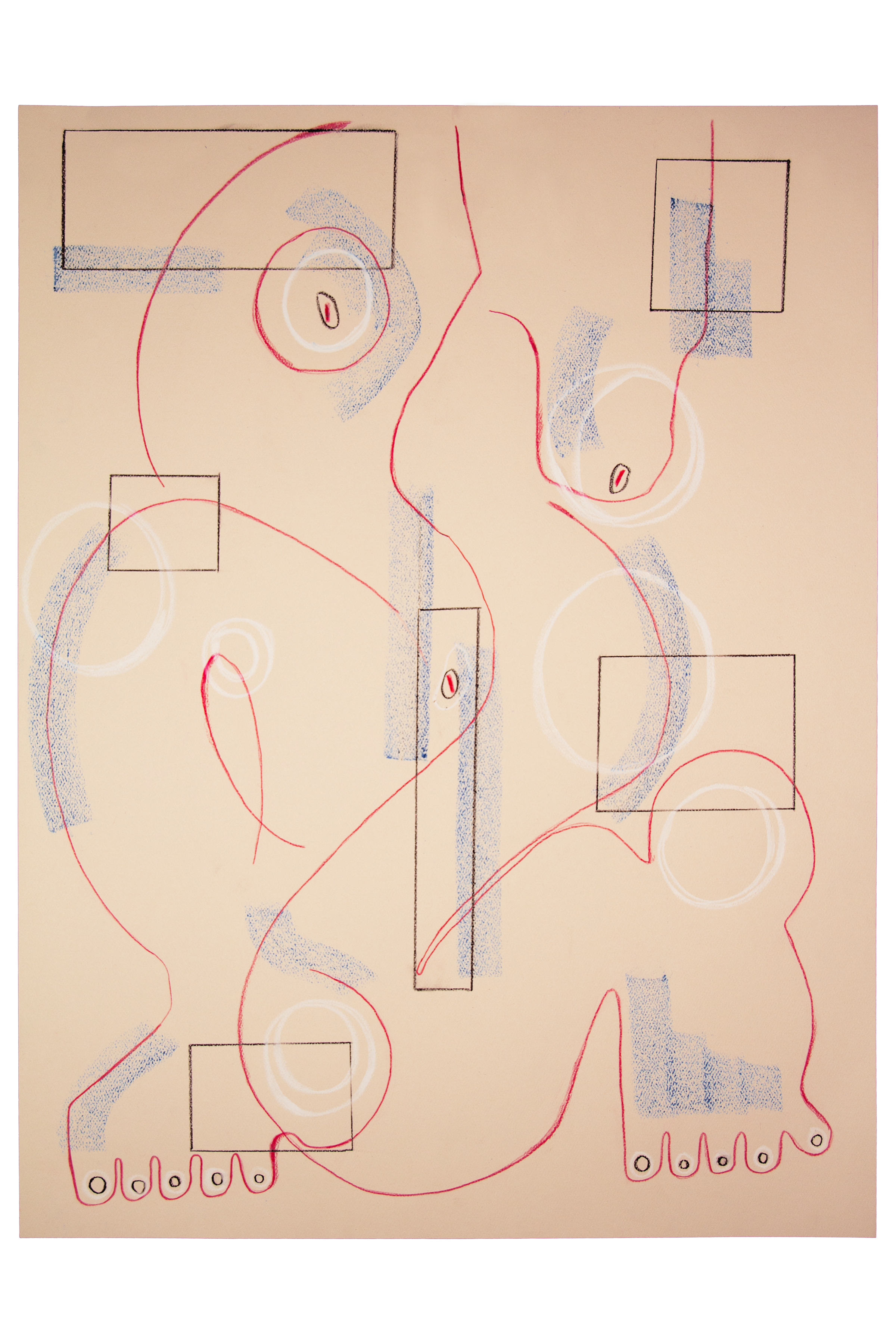 "Ways of Seeing," 2025 18x24 Charcoal/Pastel on Paper