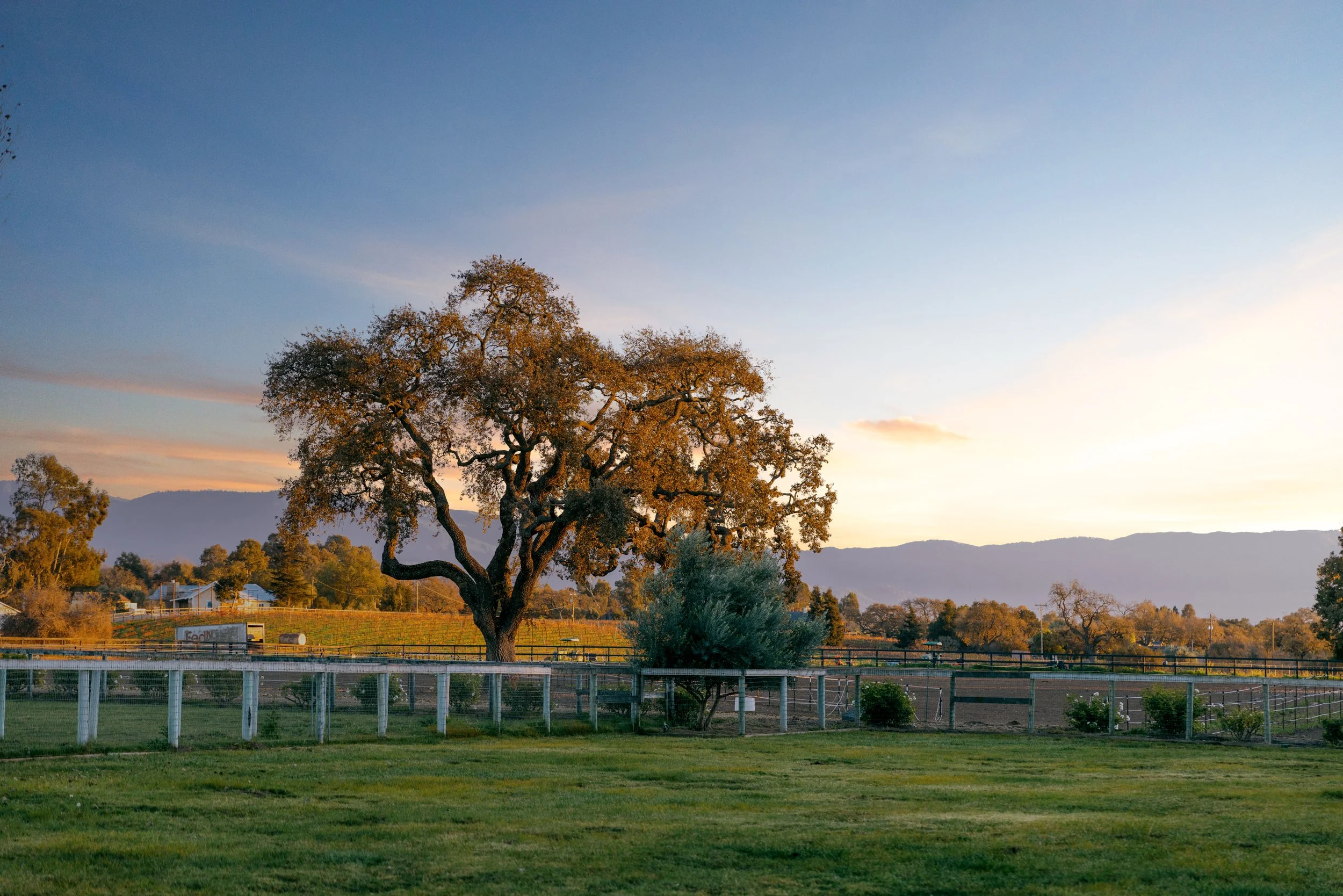 The Cottage at Angels Landing Farm, a peaceful vacation rental in Los Olivos, CA.