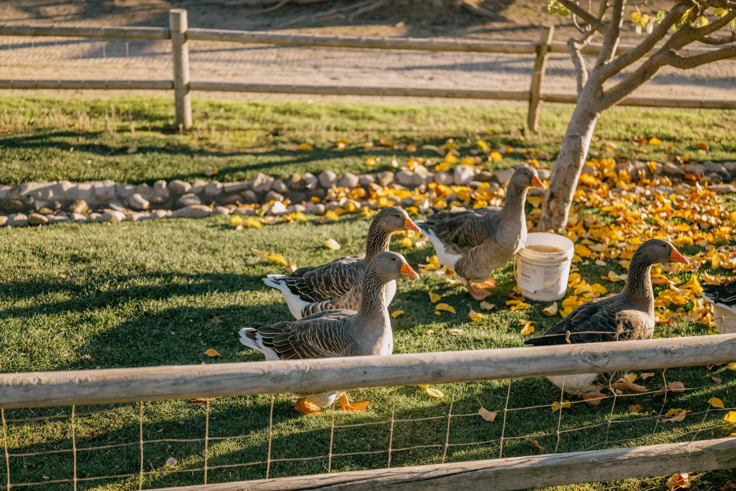 Guest House Web-23.jpg