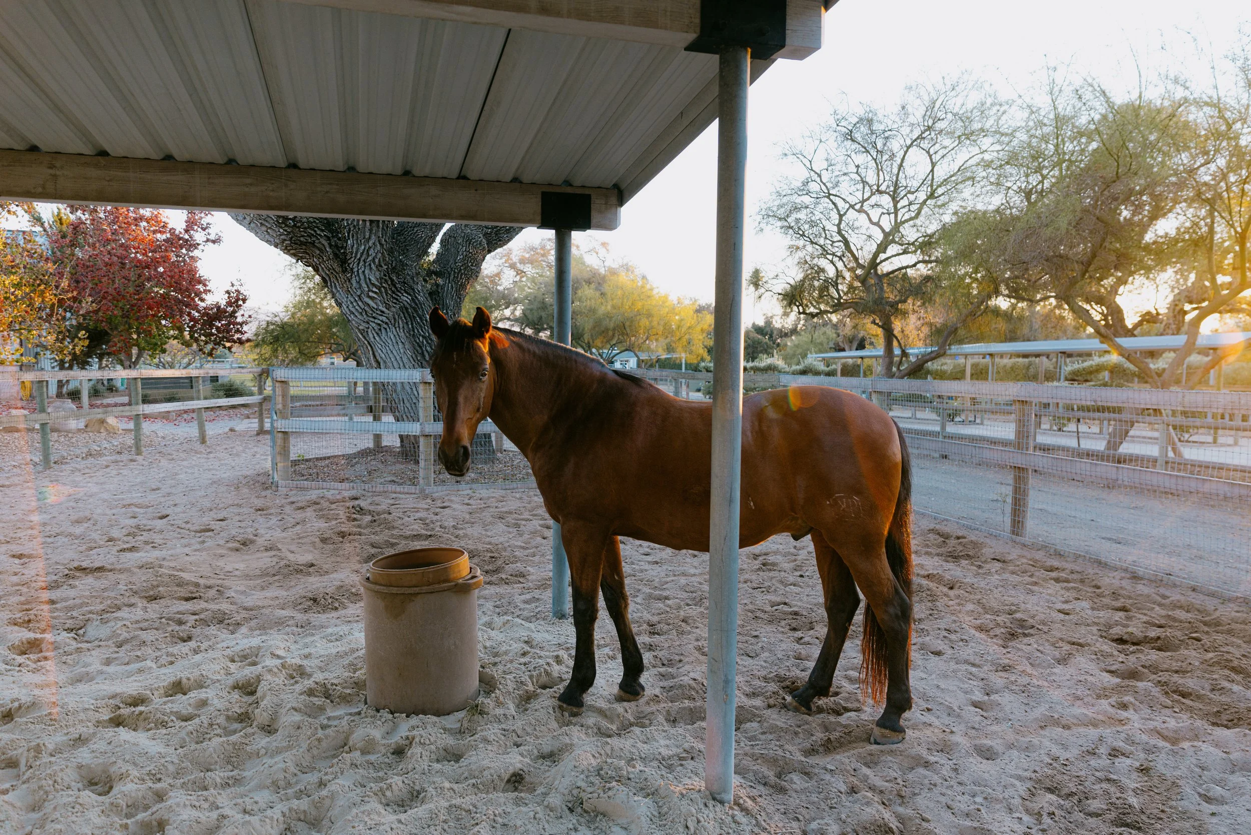 Guest House Web-28.jpg