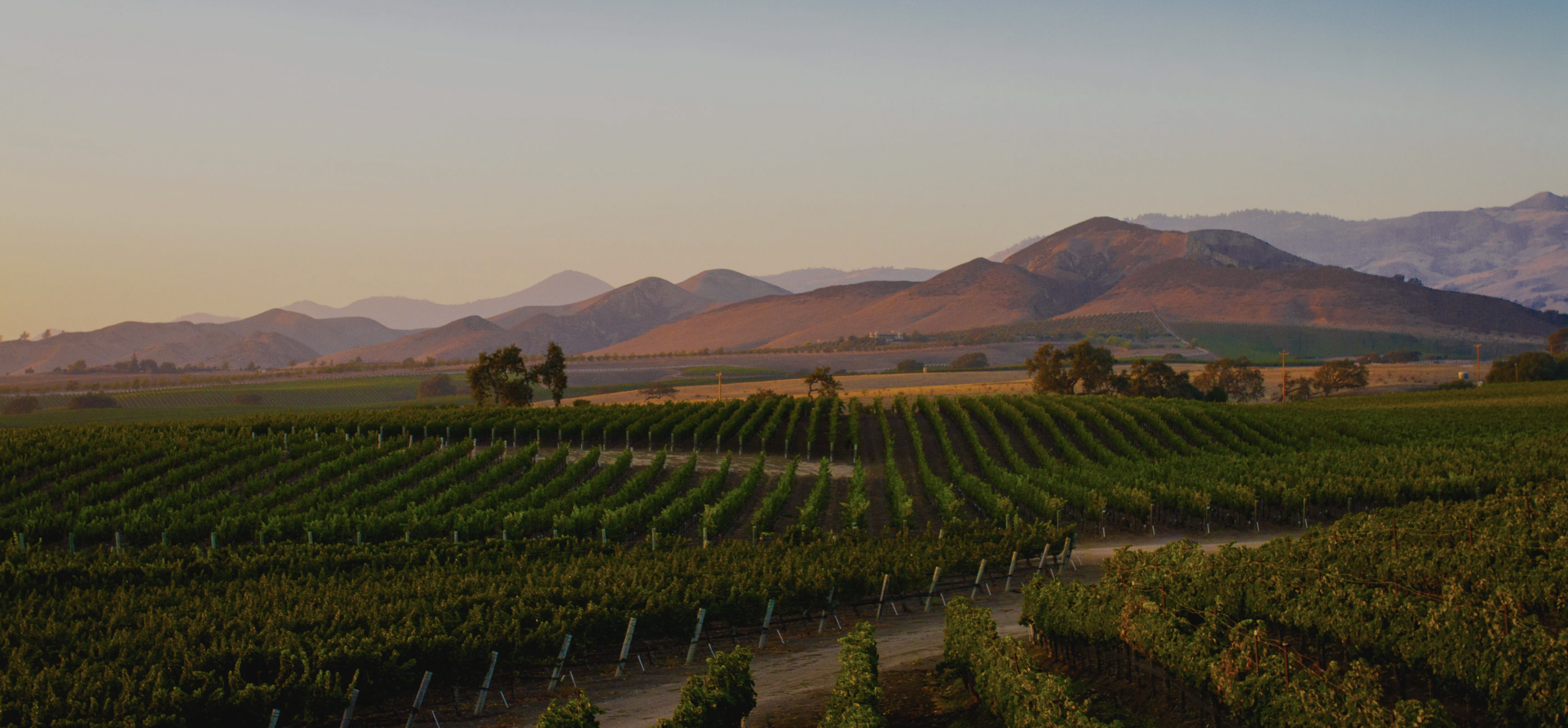 The Cottage at Angels Landing Farm, a peaceful vacation rental in Los Olivos, CA.