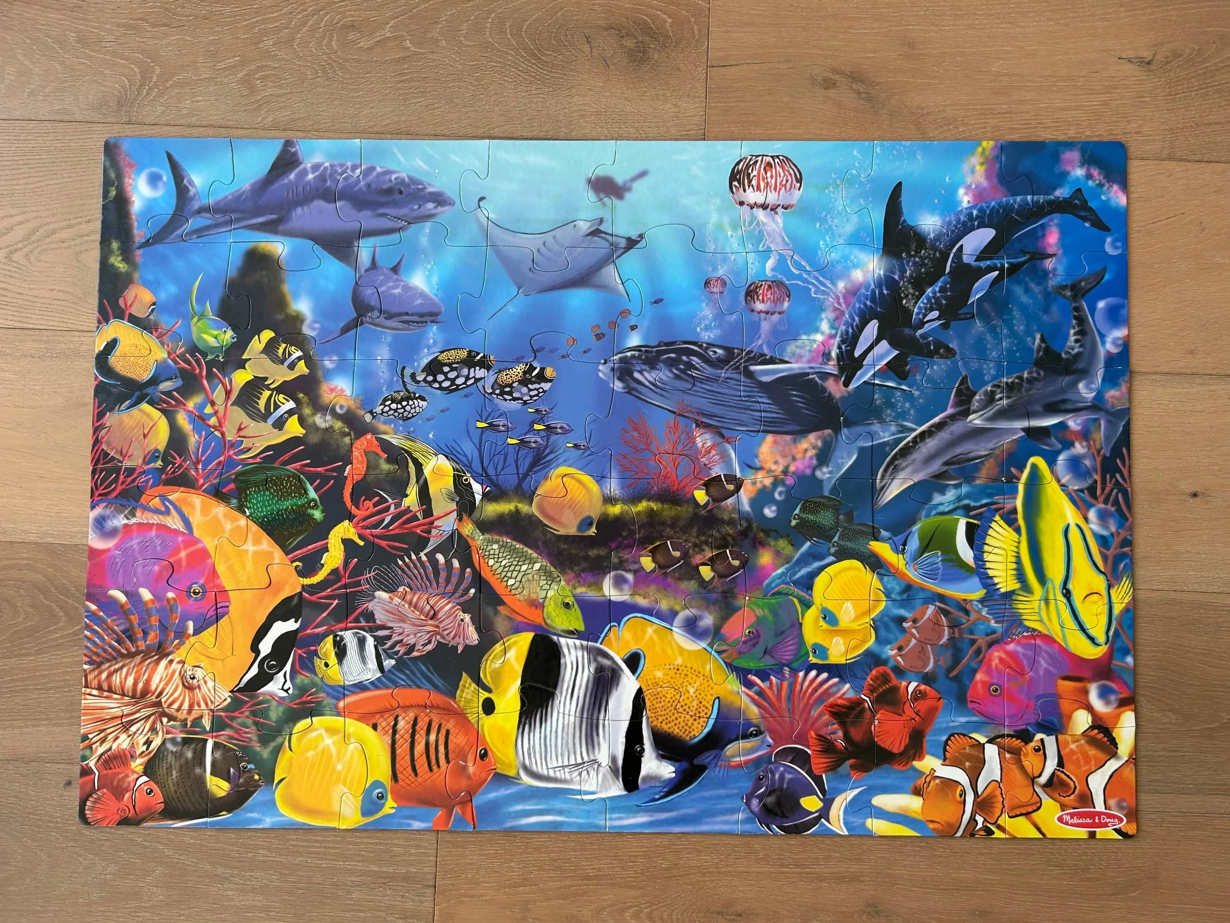 Under the Sea Puzzle