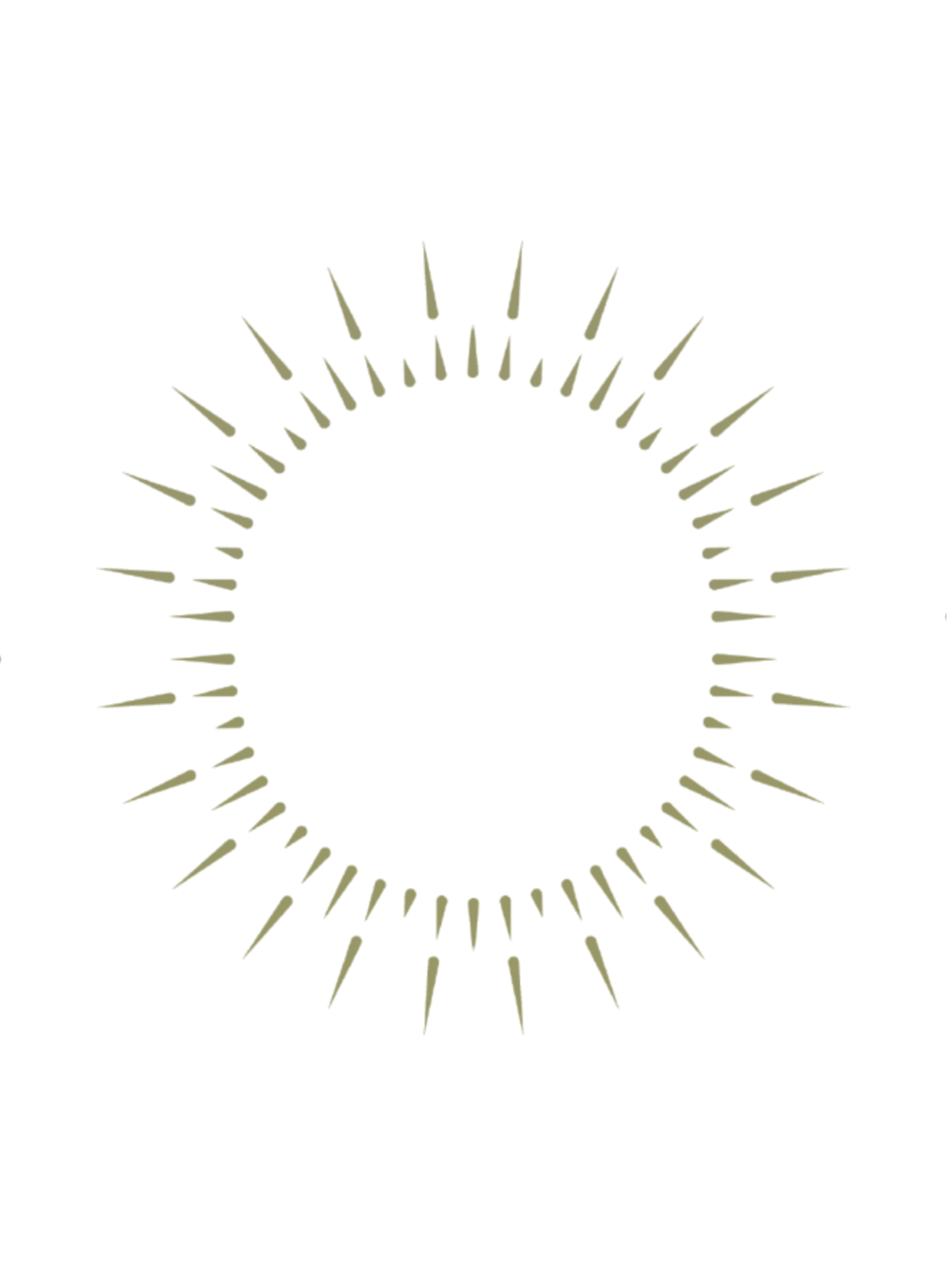 light-filled-chicago-wedding-photos