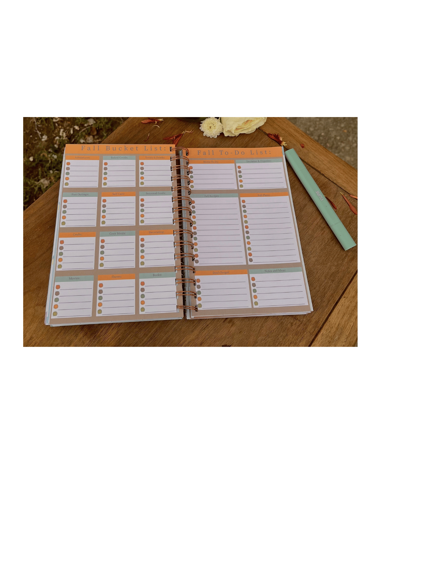 11.png (Copy) (Copy) (Copy) (Copy)