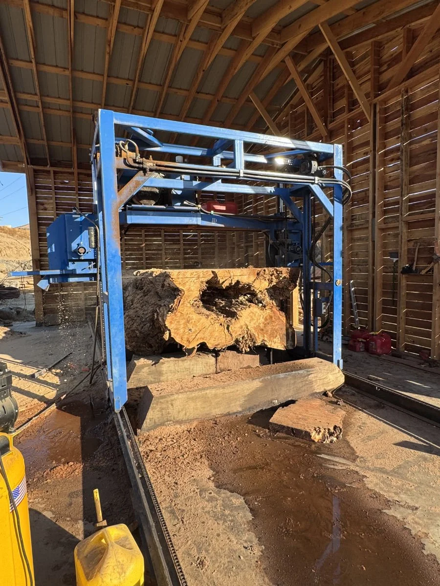 A large blue industrial machine cuts a thick, irregularly shaped piece of wood inside a wooden shed with a curved roof.