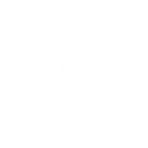 Black and white pixelated image of a rainbow over a landscape.