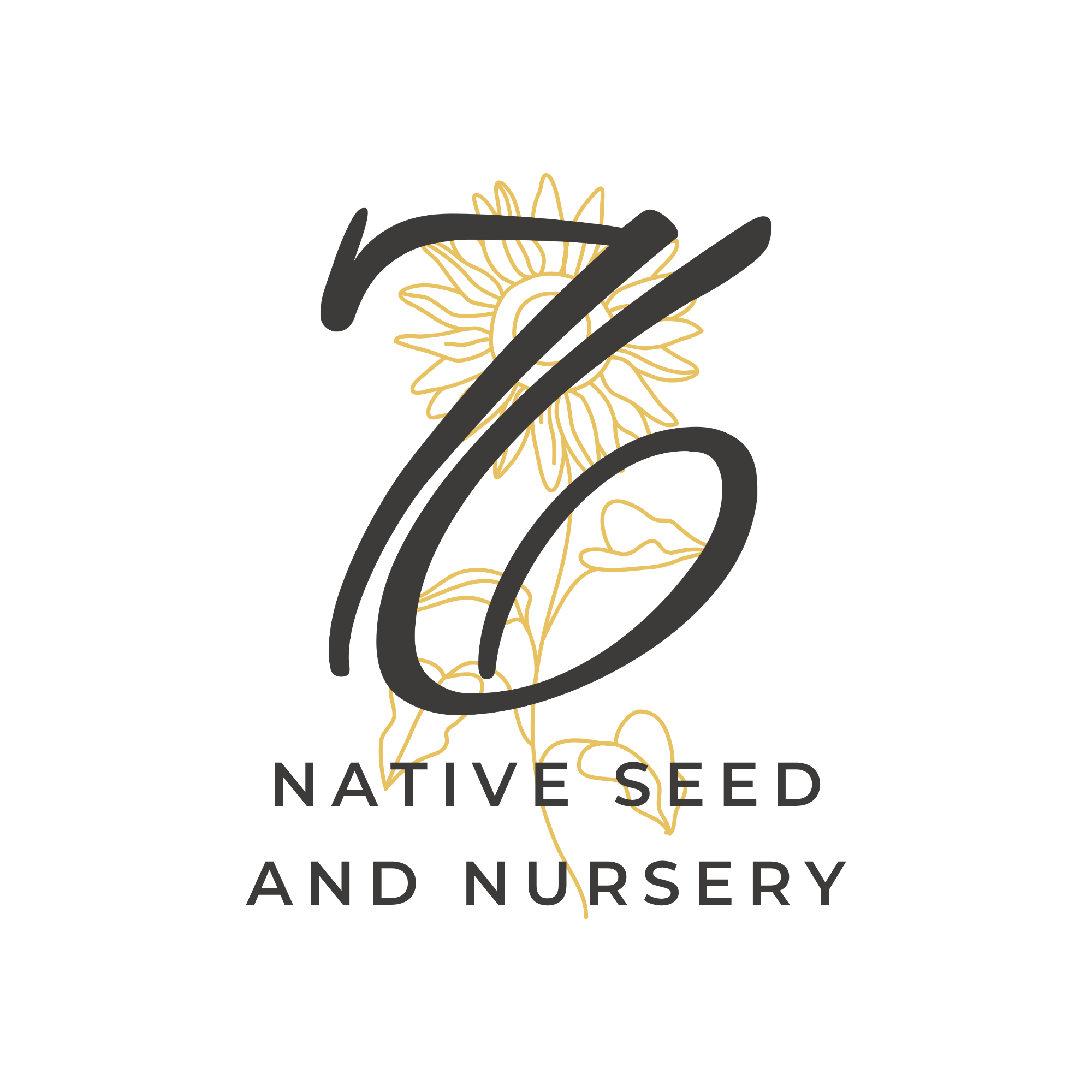 Gold illustrated sunflower and cursive text that says "76 Native Seed and Nursery".