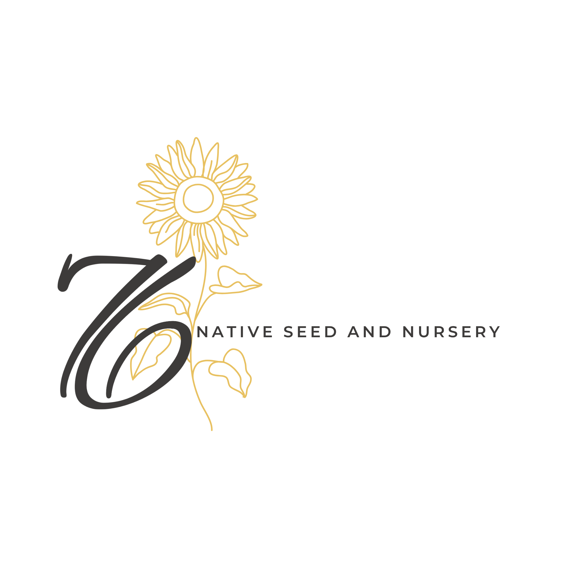 Gold illustrated sunflower and cursive text that says "76 Native Seed and Nursery".
