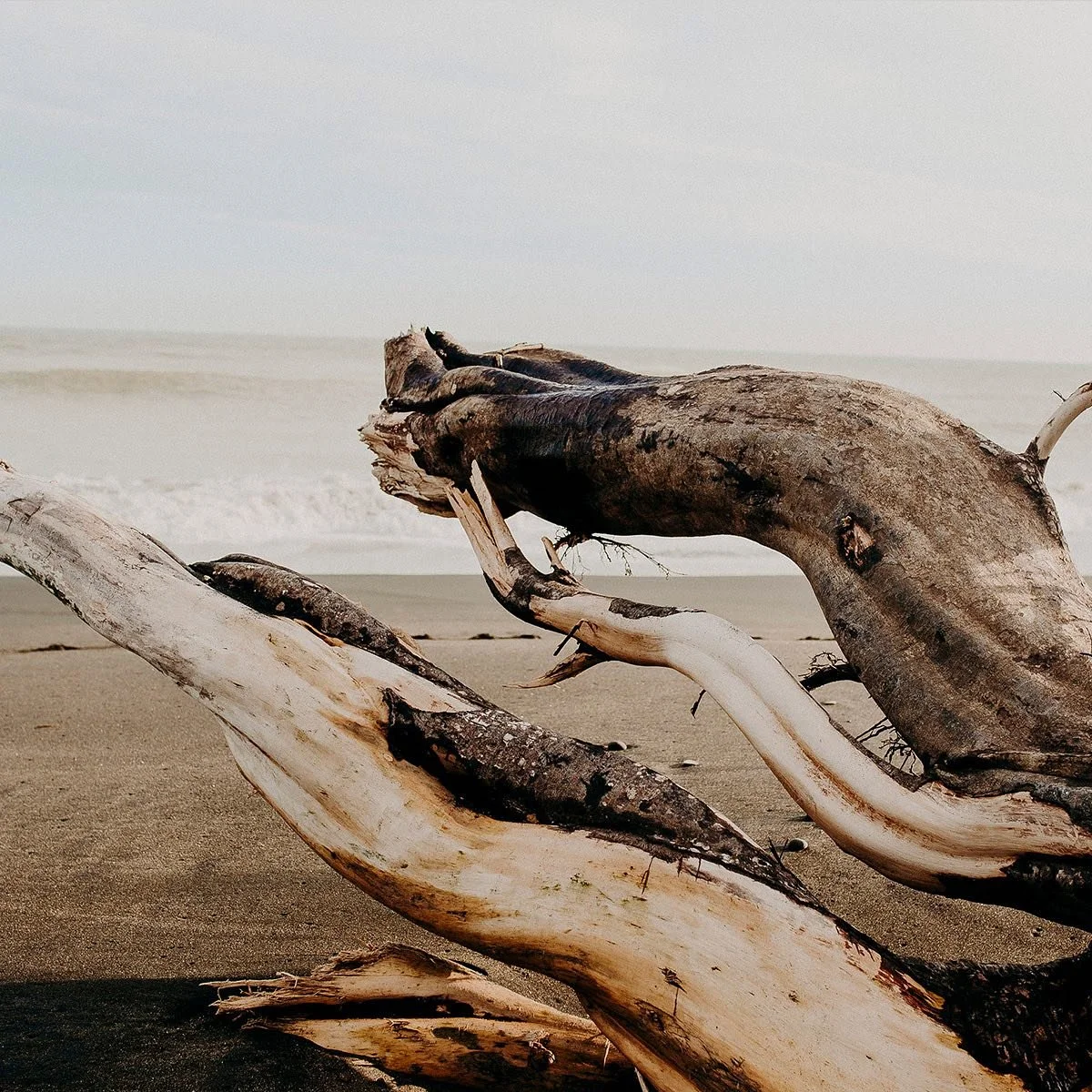 Crafted with the rugged elegance of New Zealand&rsquo;s black sand coastline in mind, our aluminium tables offer a sleek, contemporary design that captures both the durability and dramatic beauty of the shore. 🌊