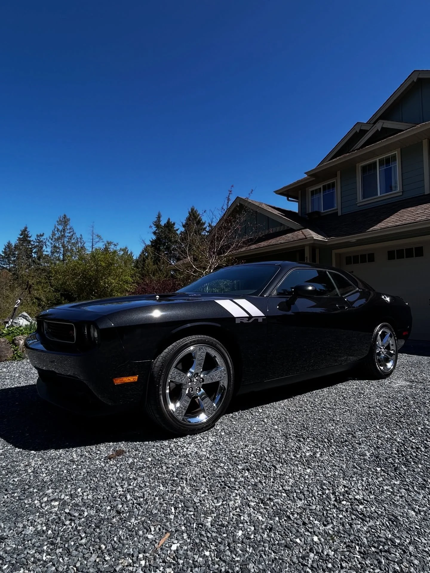 Today&rsquo;s Detail 💯

Dodge Challneger back for its yearly Polish &amp; Wax 

Contact us today: (250) 701-2153
Visit and book online: WestXDetail.ca