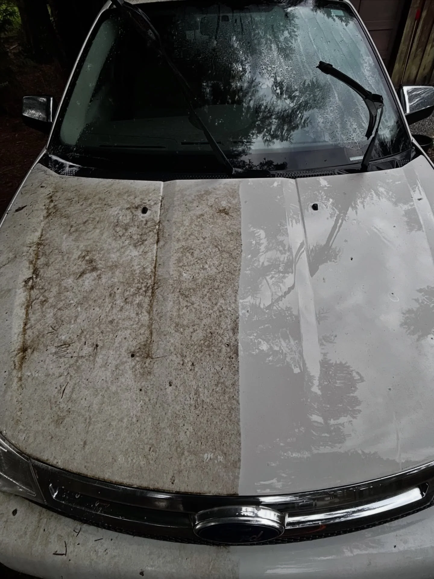 Today&rsquo;s Detail 💯 Mold Removal 

Contact us today: (250) 701-2153
Visit us &amp; book online: WestXDetail.ca