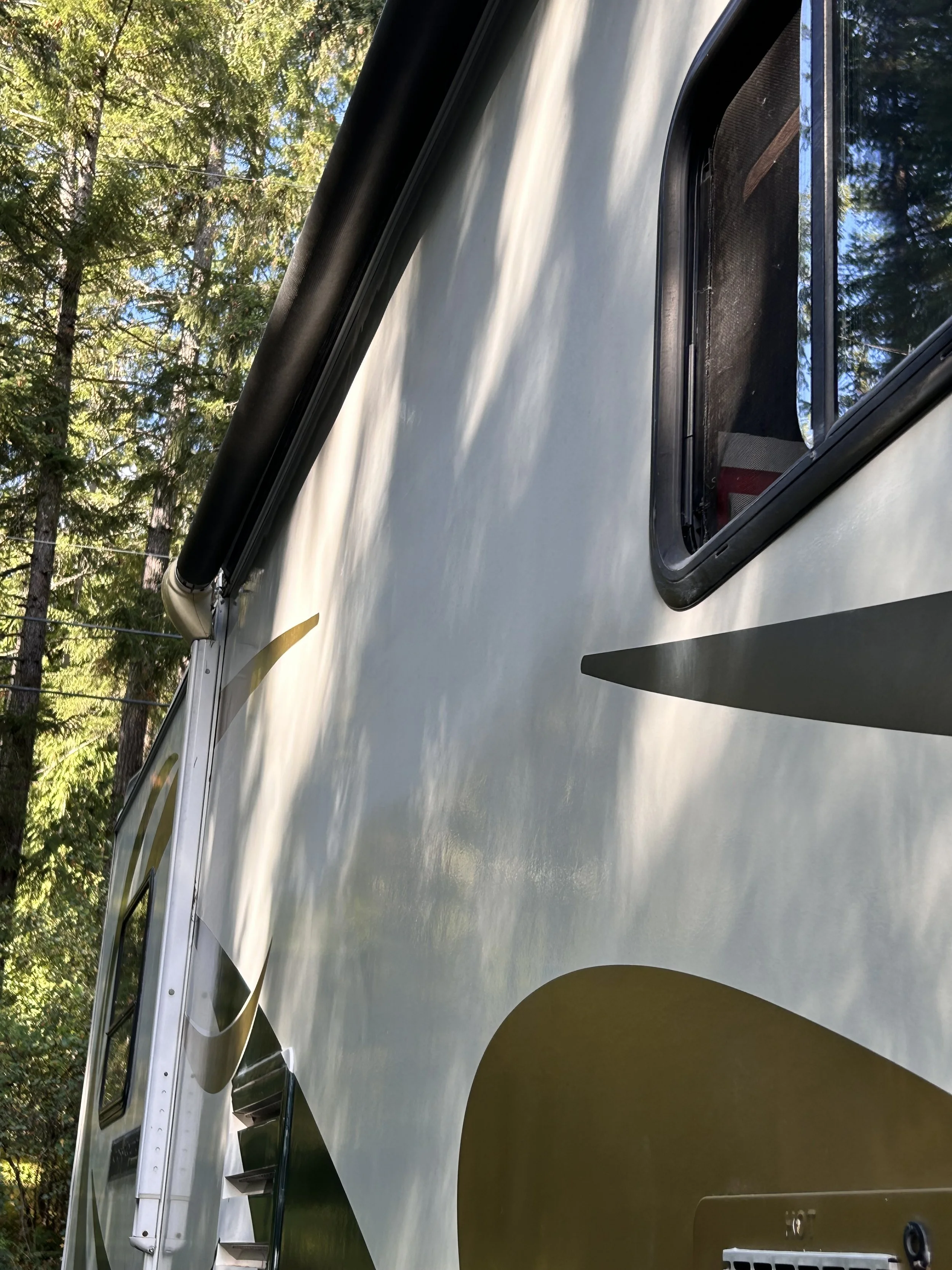 Side of a white RV camper with black wheel well trim and window, surrounded by green trees.