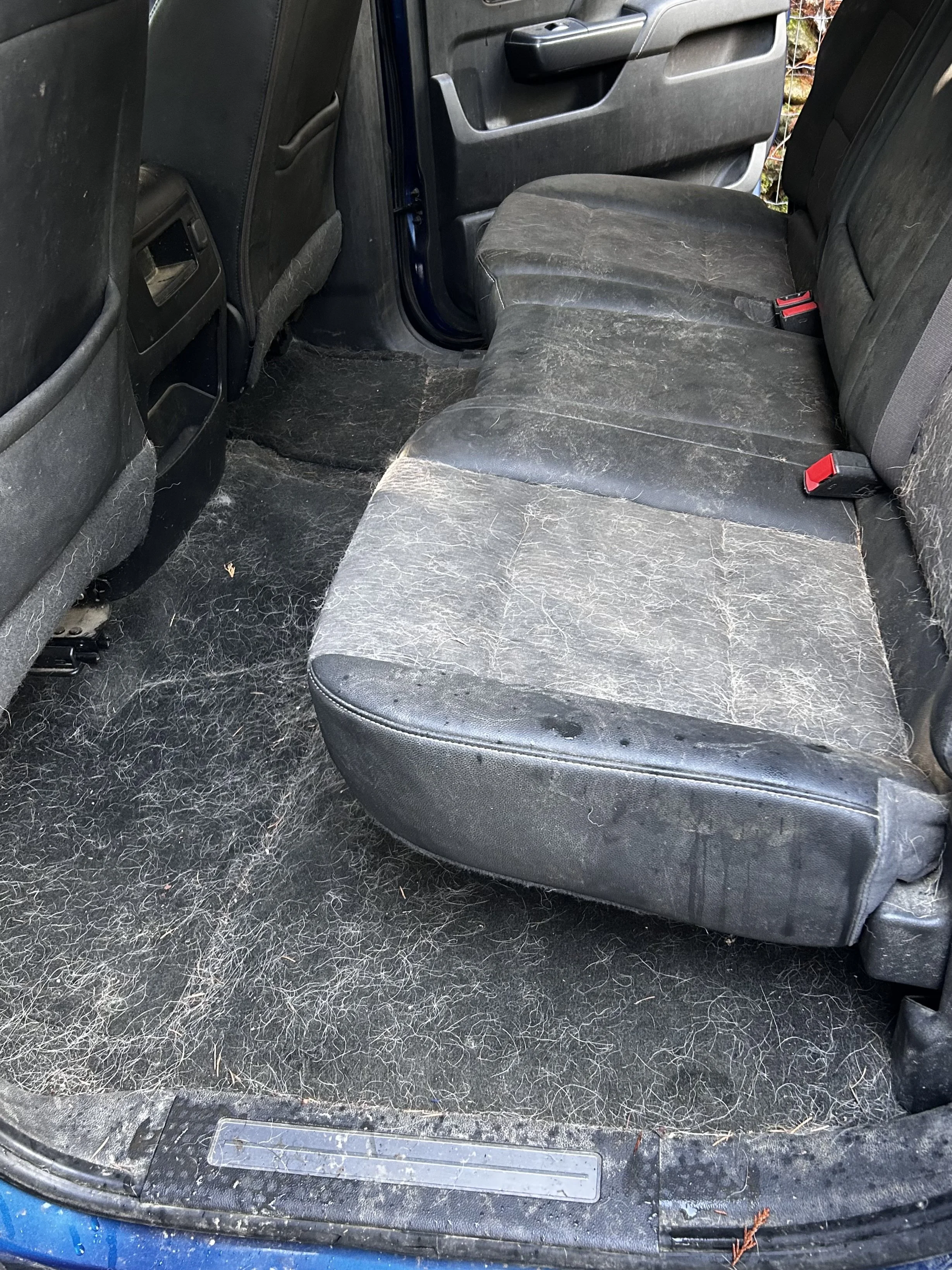 The back seat and floor of a vehicle with black leather seats and scattered pet hair, indicating it has been used with animals.