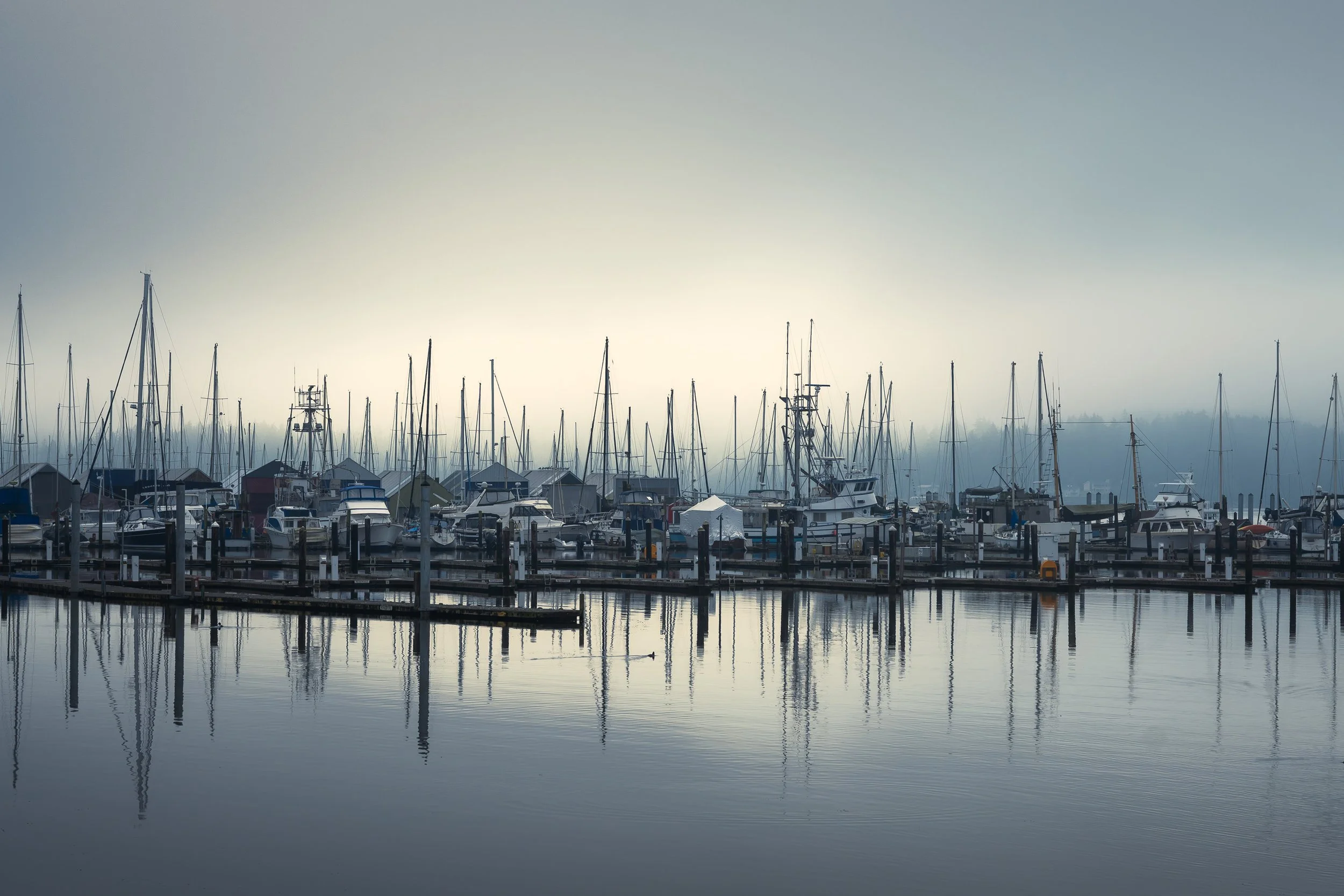 Poulsbo WA Marina.jpg