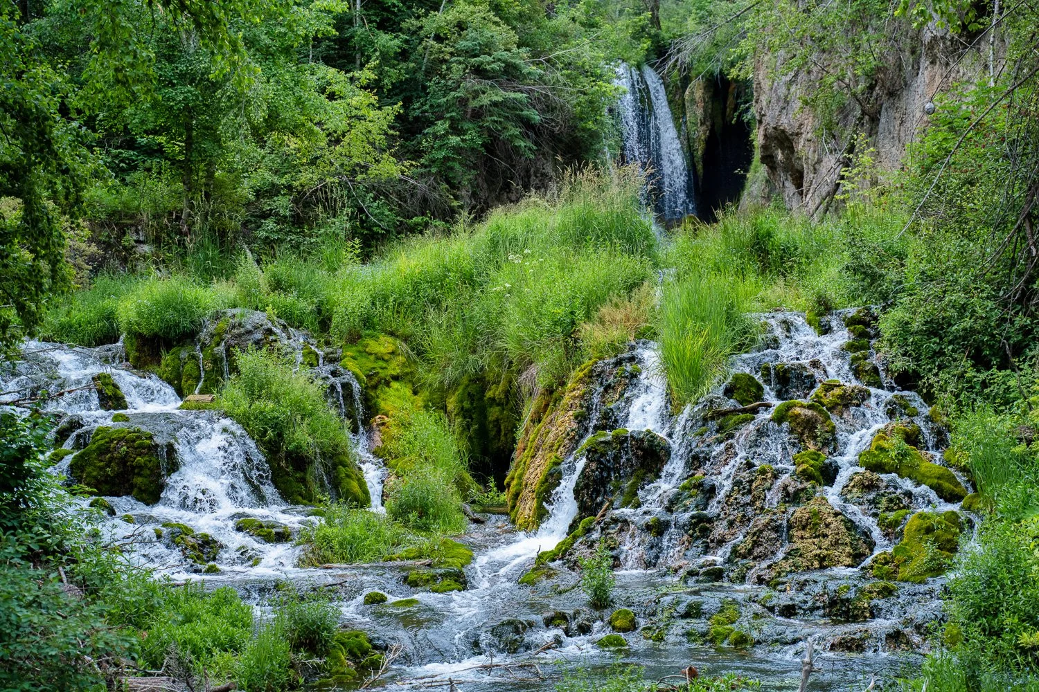 Roughlock Falls - Spearfish Canyon - South Dakota.jpg