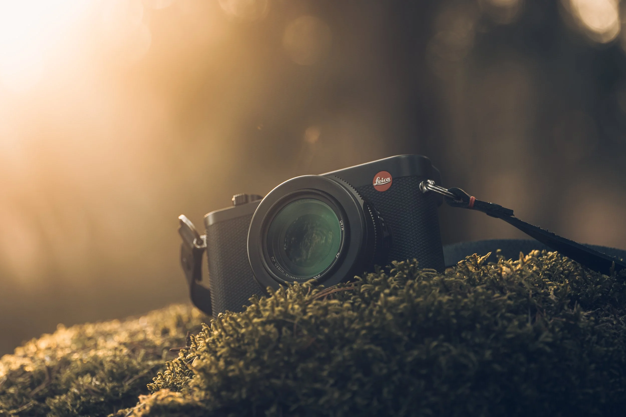 Eine Leica-Kamera liegt auf einer moosbedeckten Oberfläche im Freien, mit warmem Sonnenlicht, das im Hintergrund einfällt.