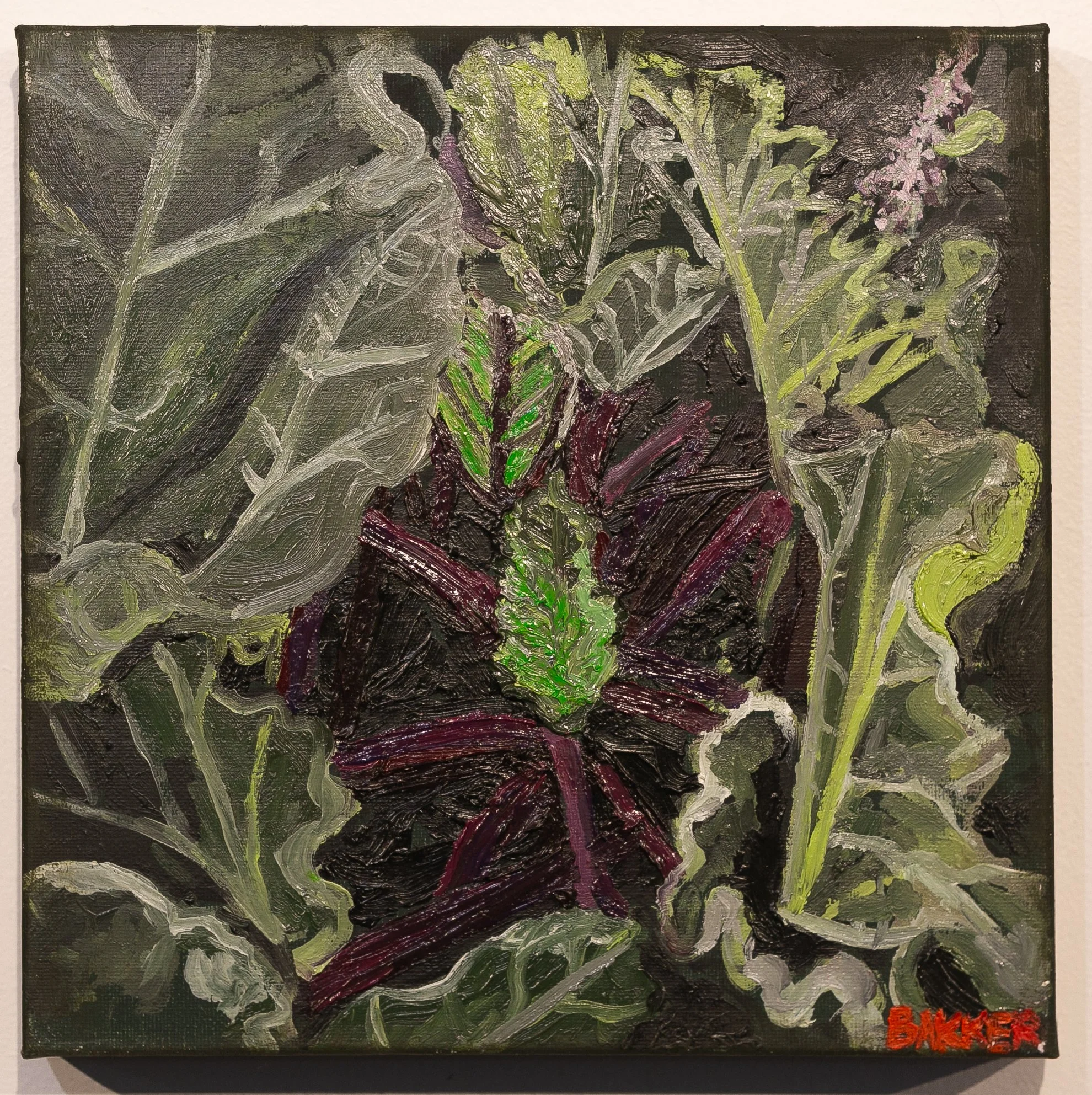 8) RHUBARD STUDY