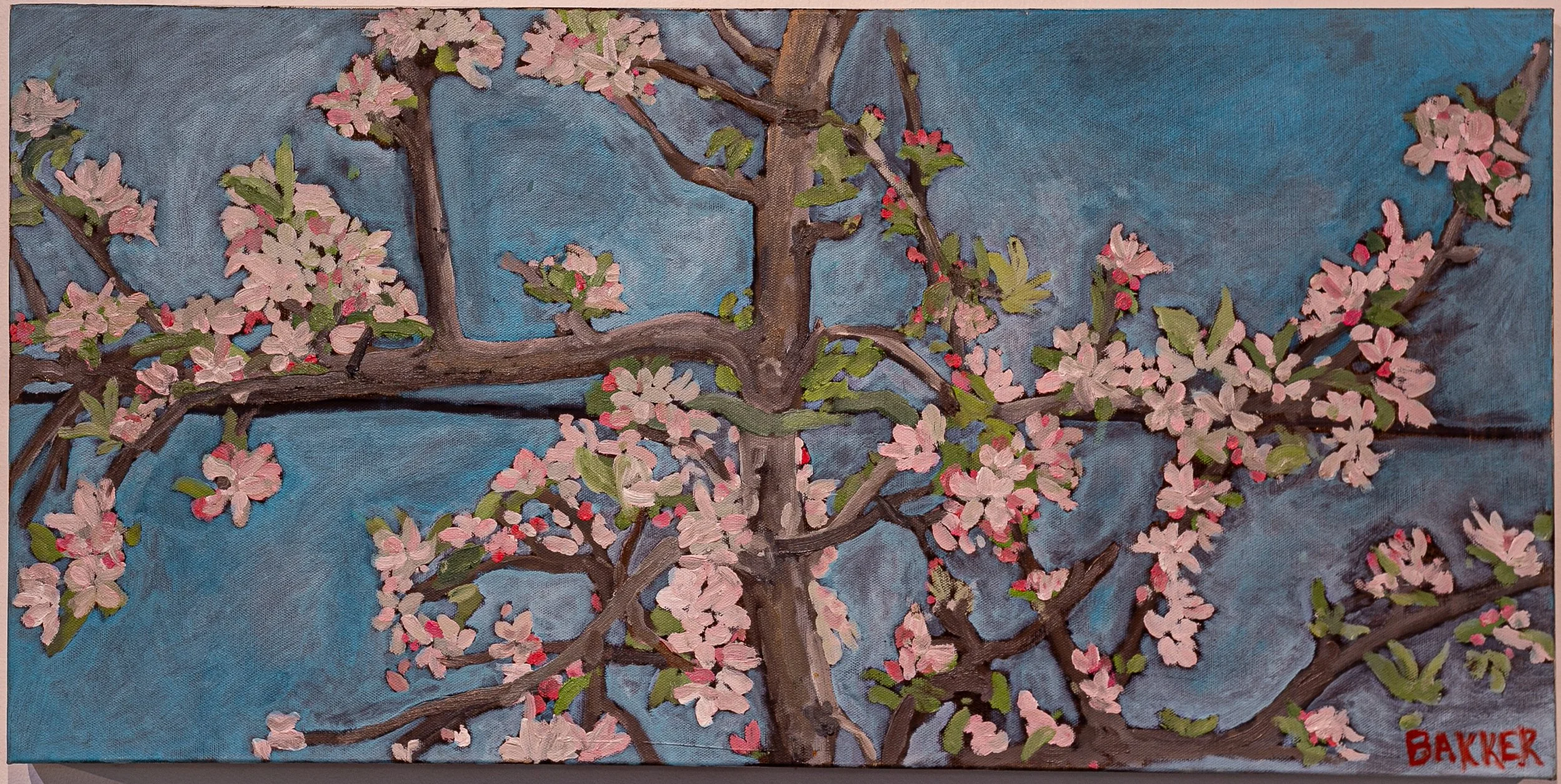  Apple Blossum 