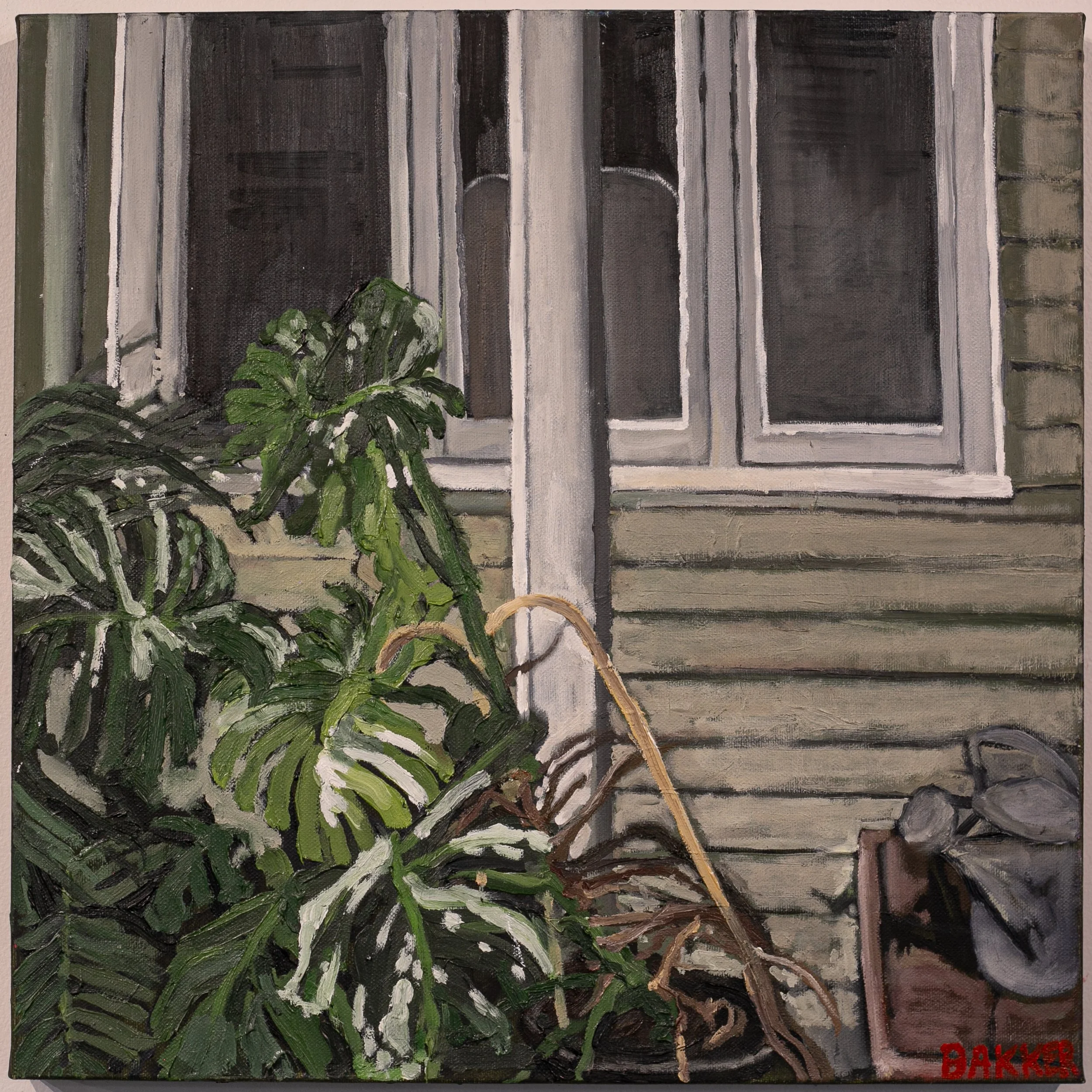 “MONSTERA, COURTYARD”