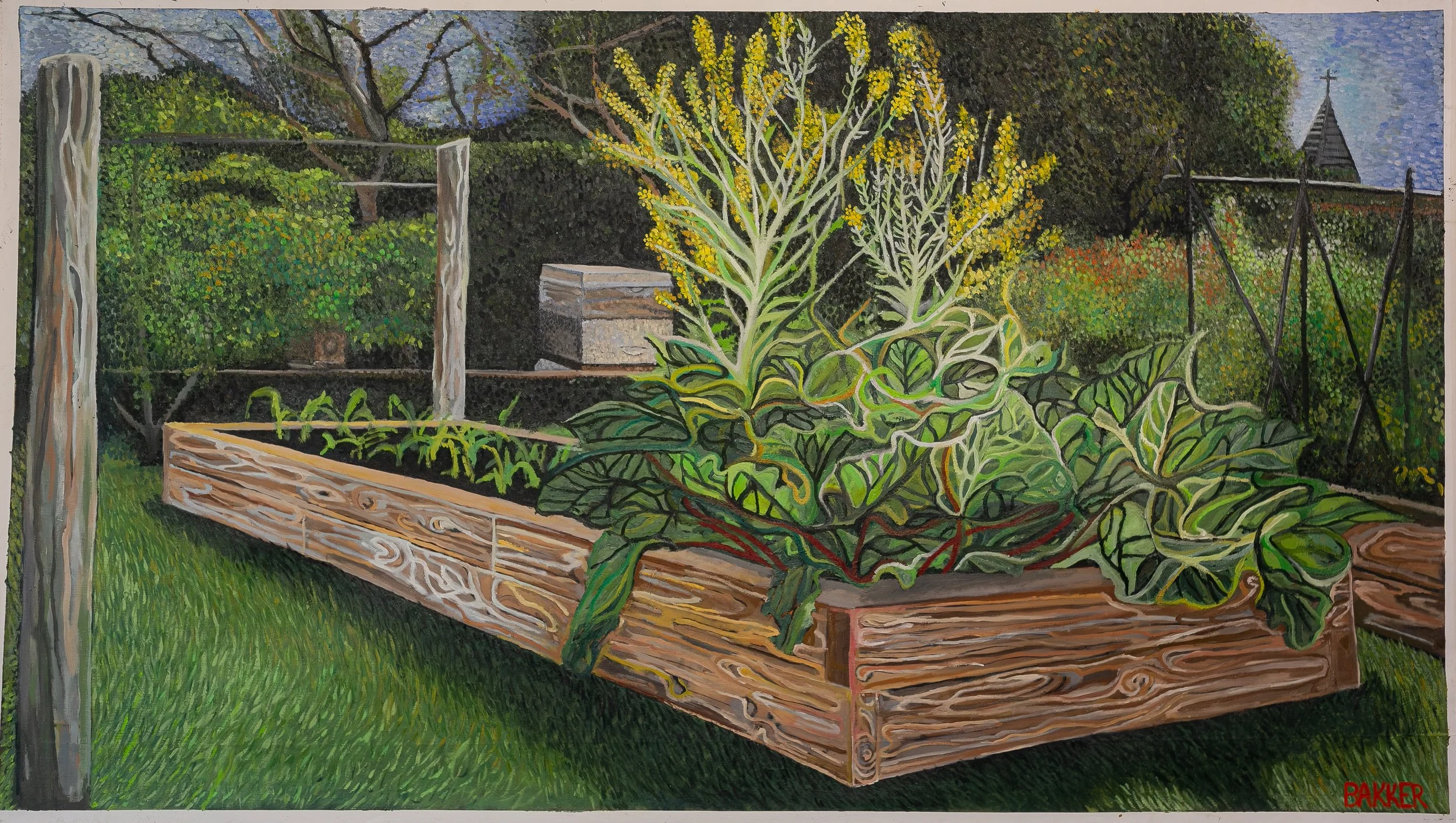 RHUBARD BED NO.2