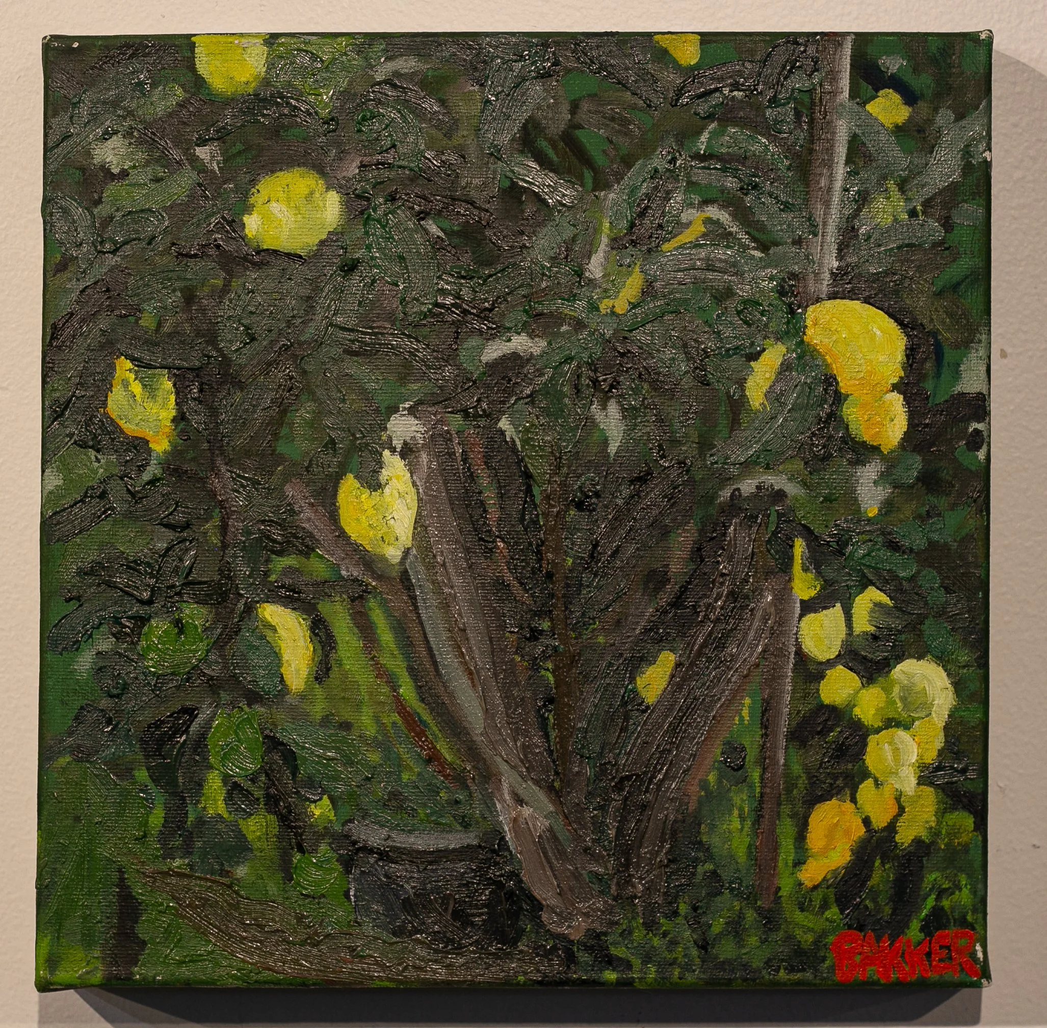 11) LEMON TREE STUDY