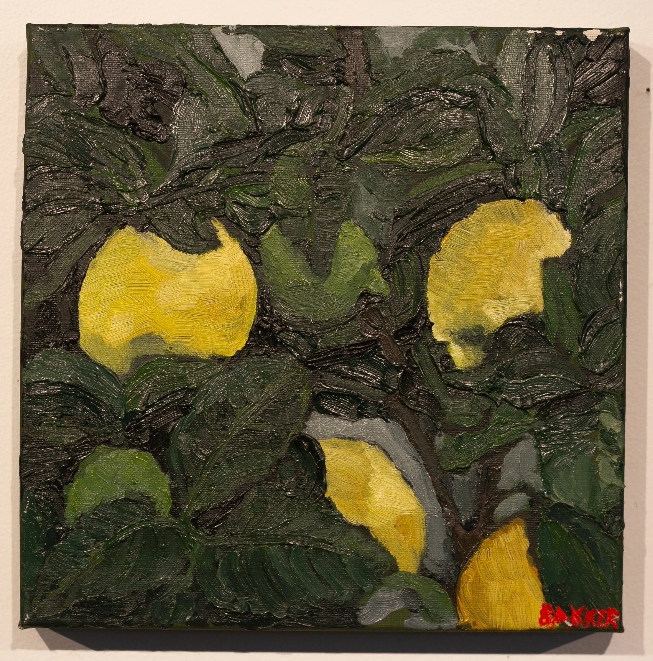 12) LEMONS FIG STUDY