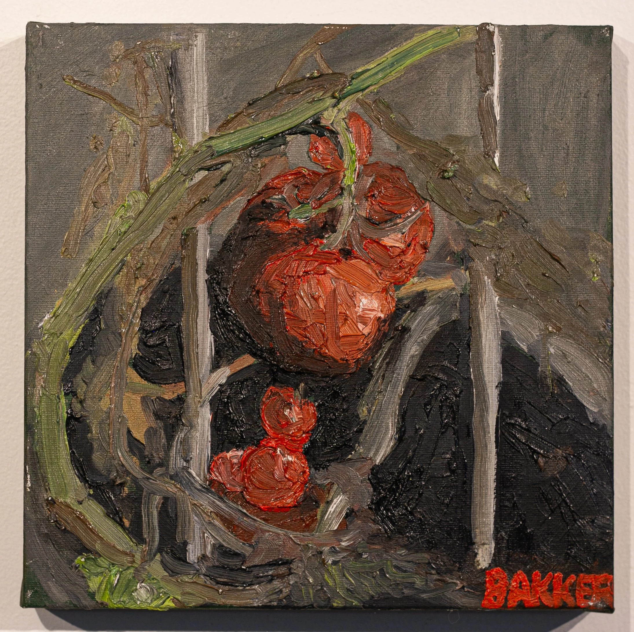 15) TOMATO STUDY
