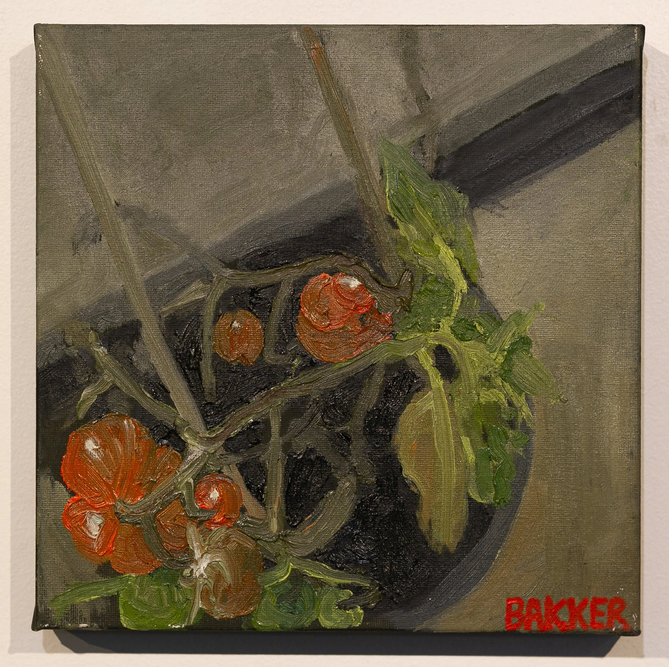 15) TOMATO STUDY NO.2
