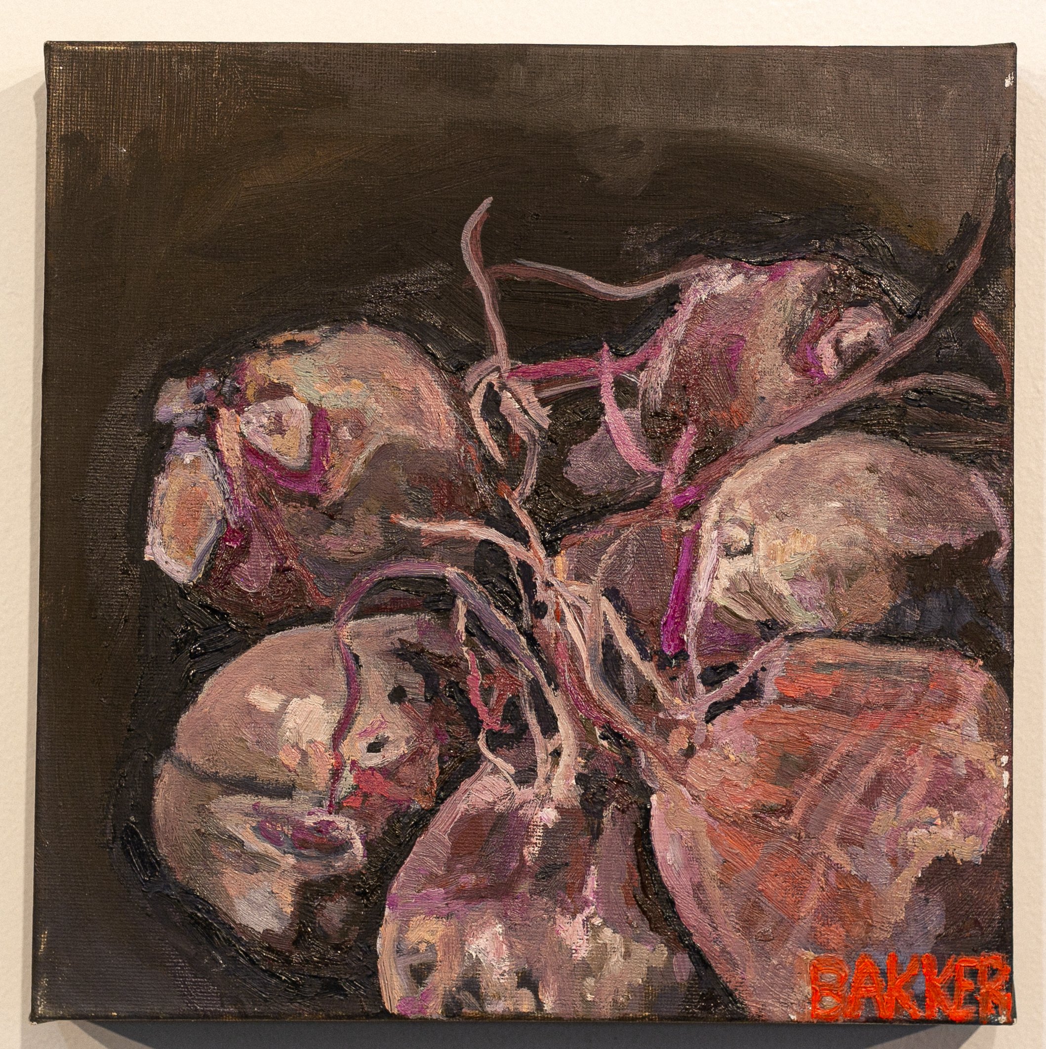 17) BEETROOT STUDY
