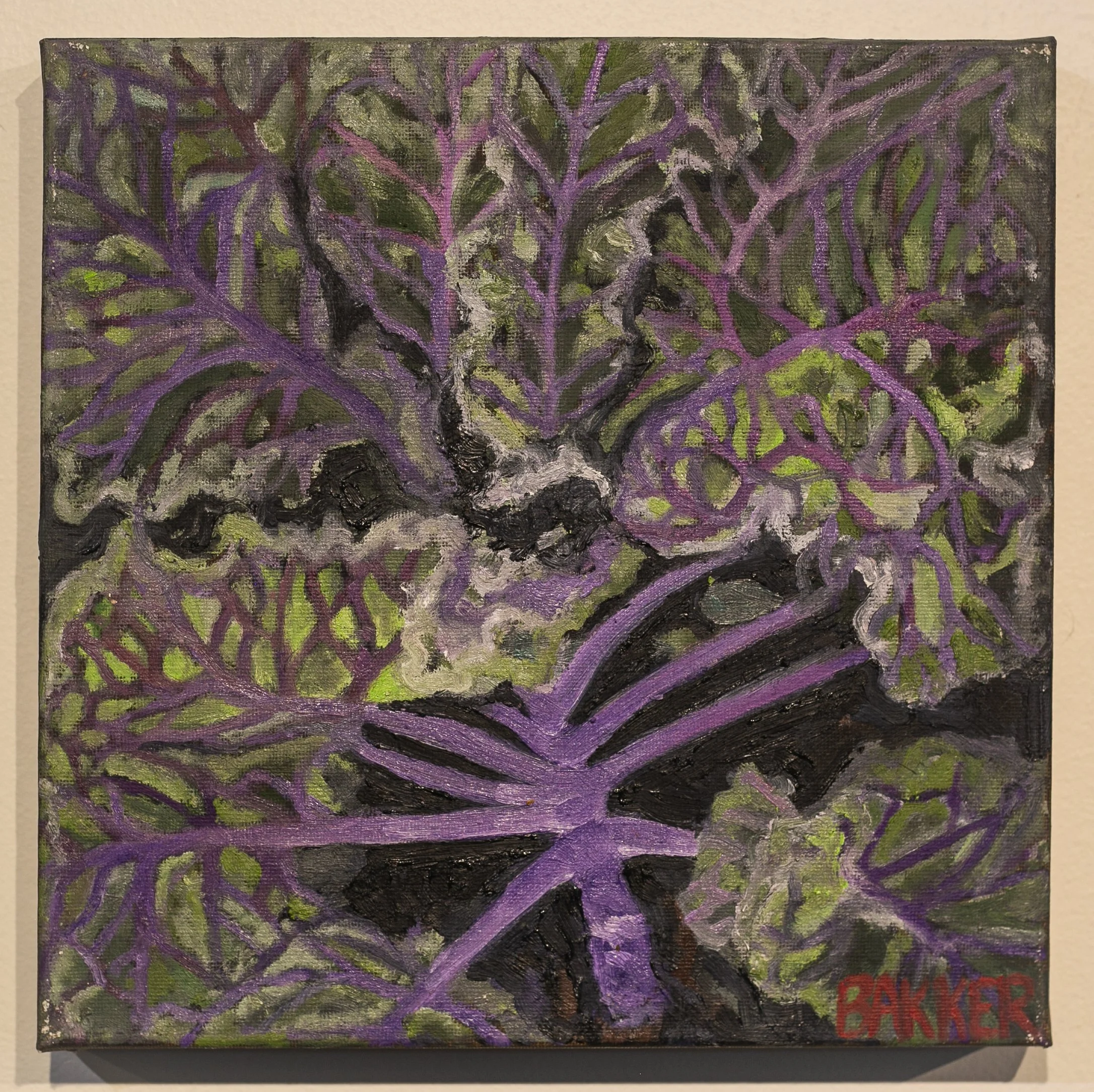 18) KALE STUDY