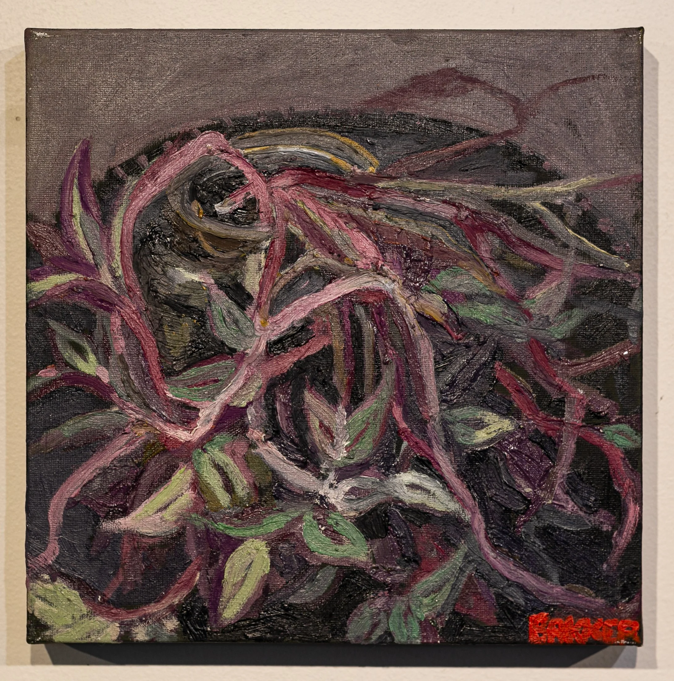 19) SPIDERWORT STUDY