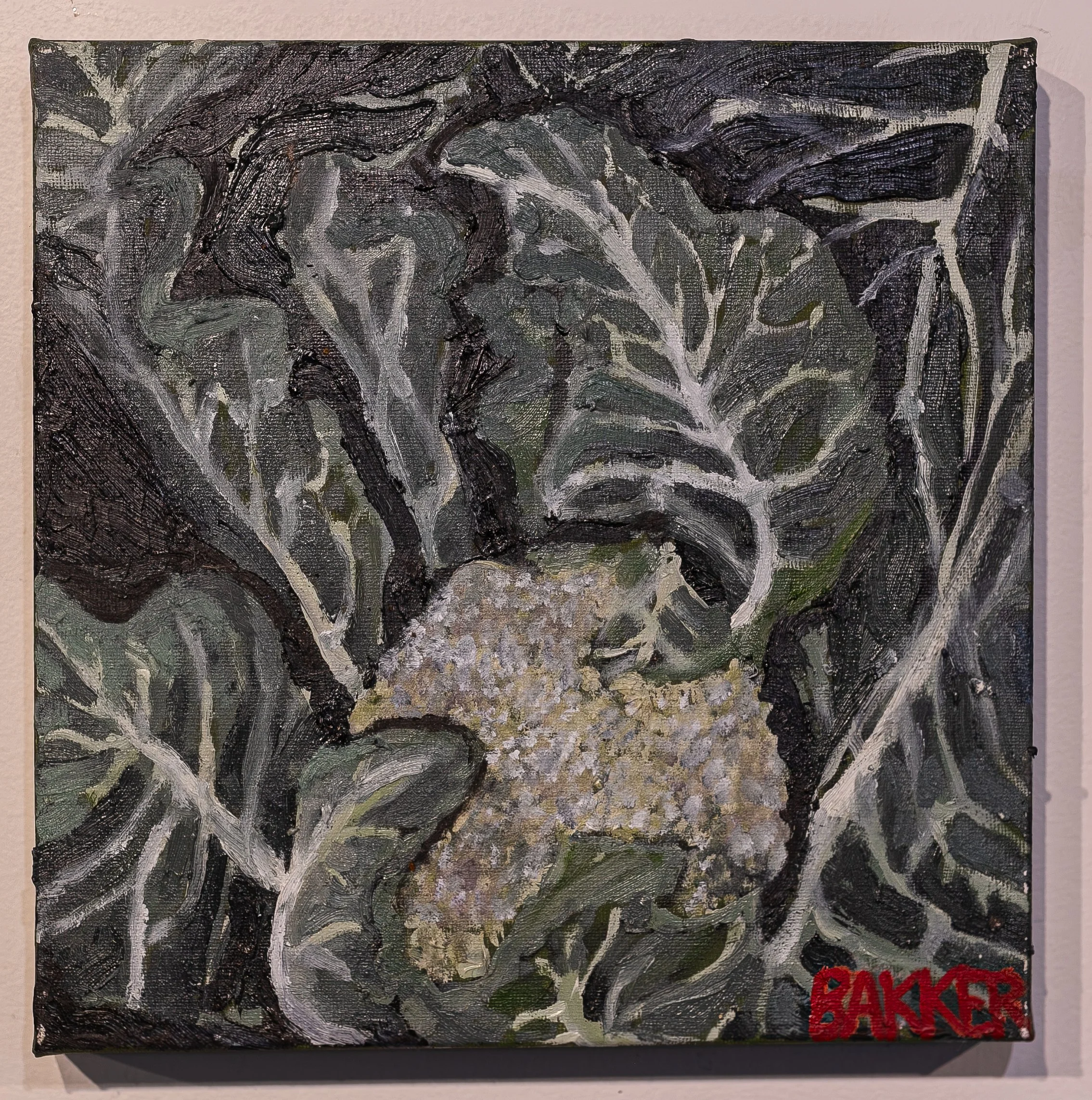 20) CAULIFLOWER STUDY