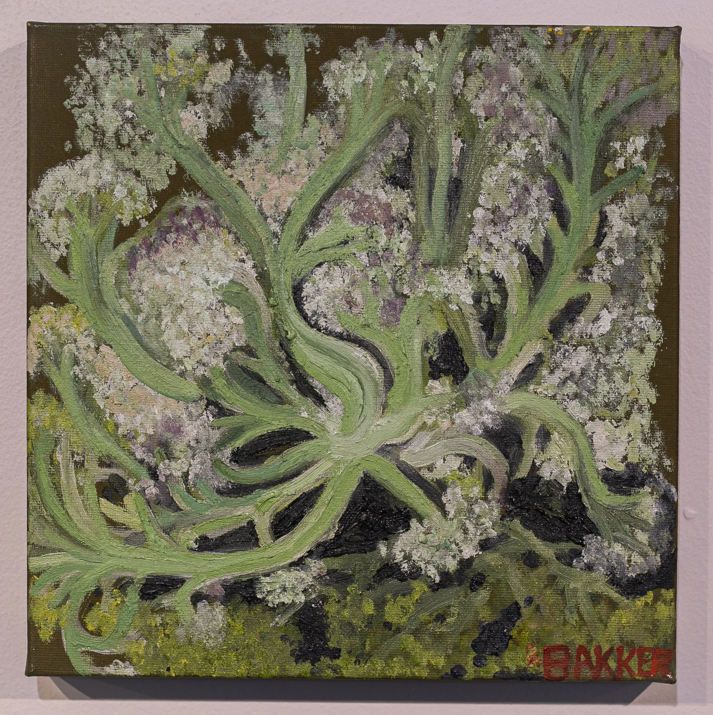 21) ROMANESCO BROCCOLI STUDY