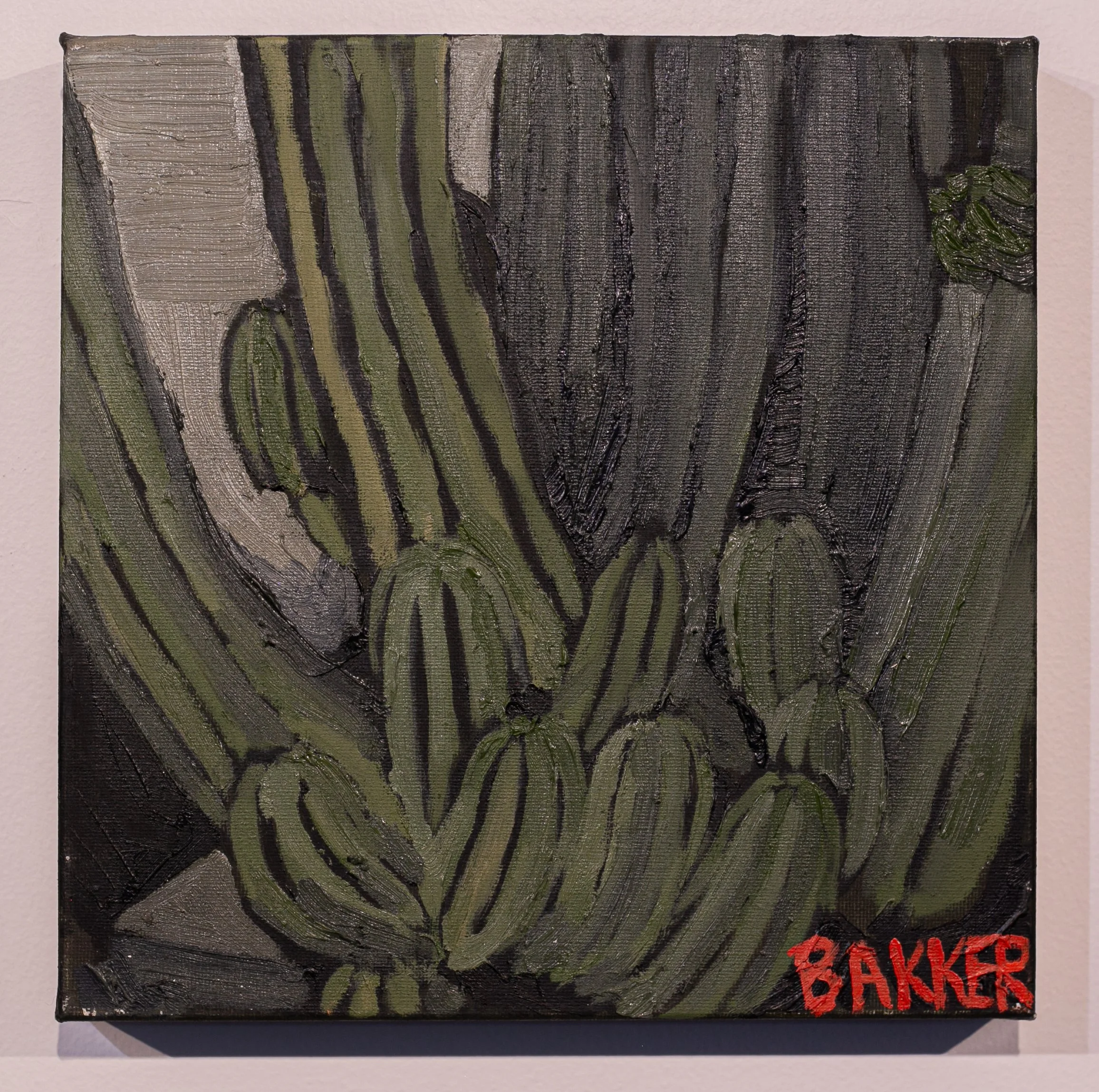 23) SAN PEDRO STUDY