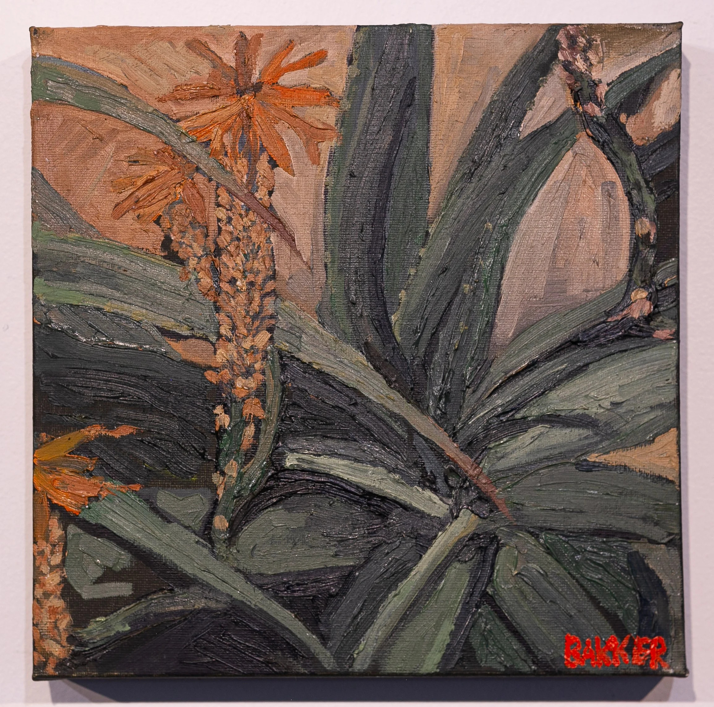 24) RED-HOT POKER STUDY