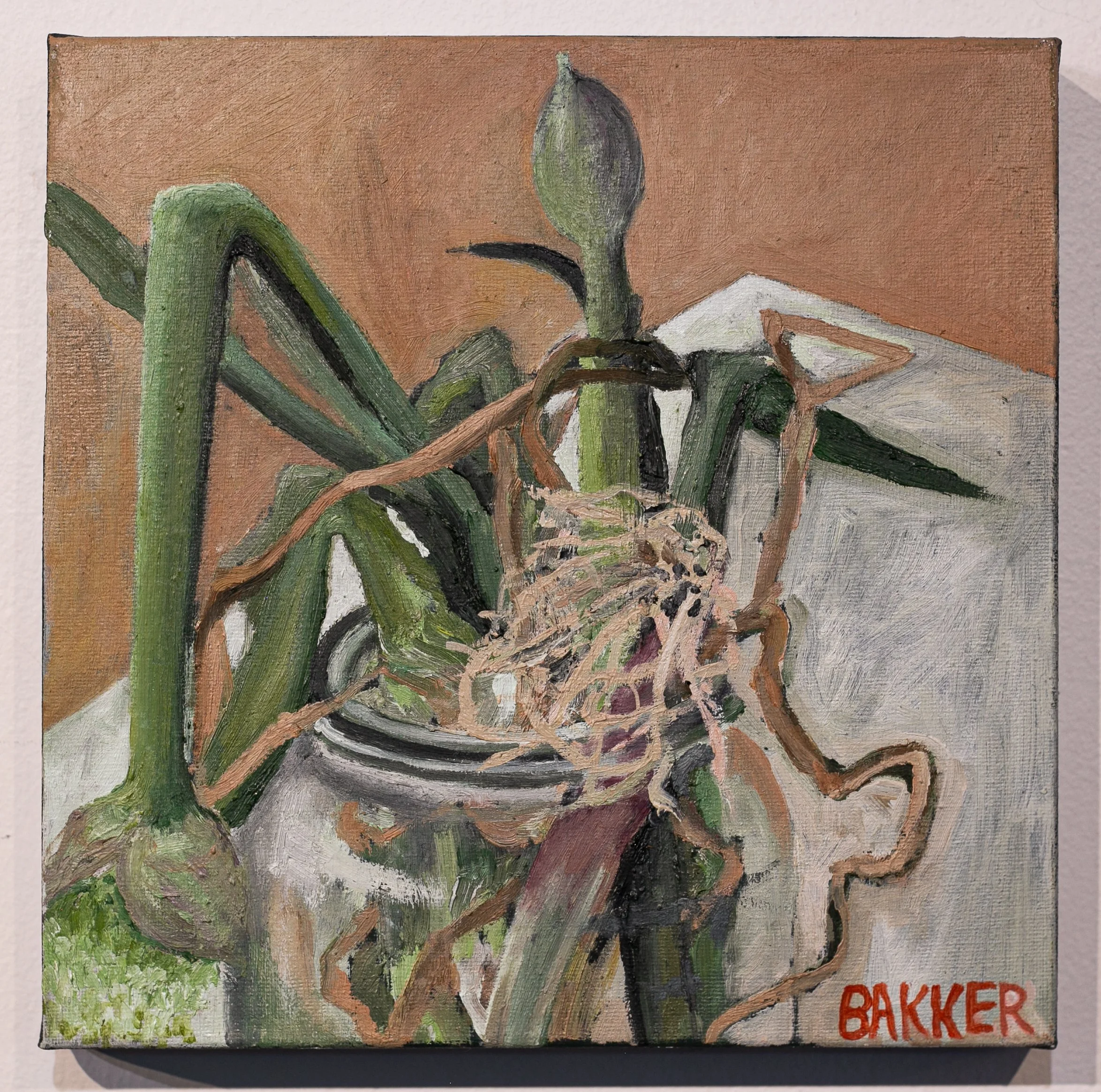 25) SPRING ONIONS STILL LIFE