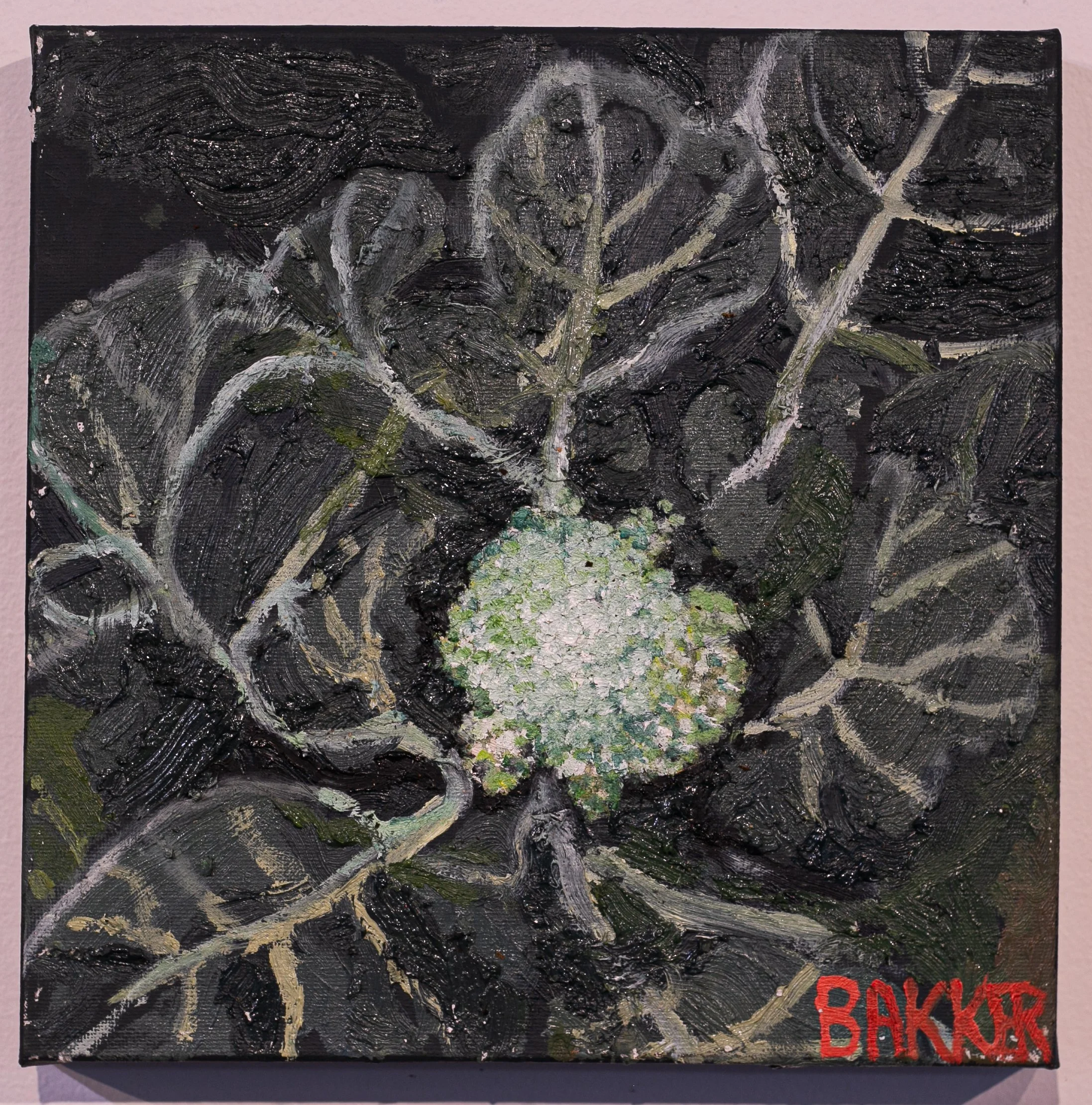 28) BROCCOLI STUDY