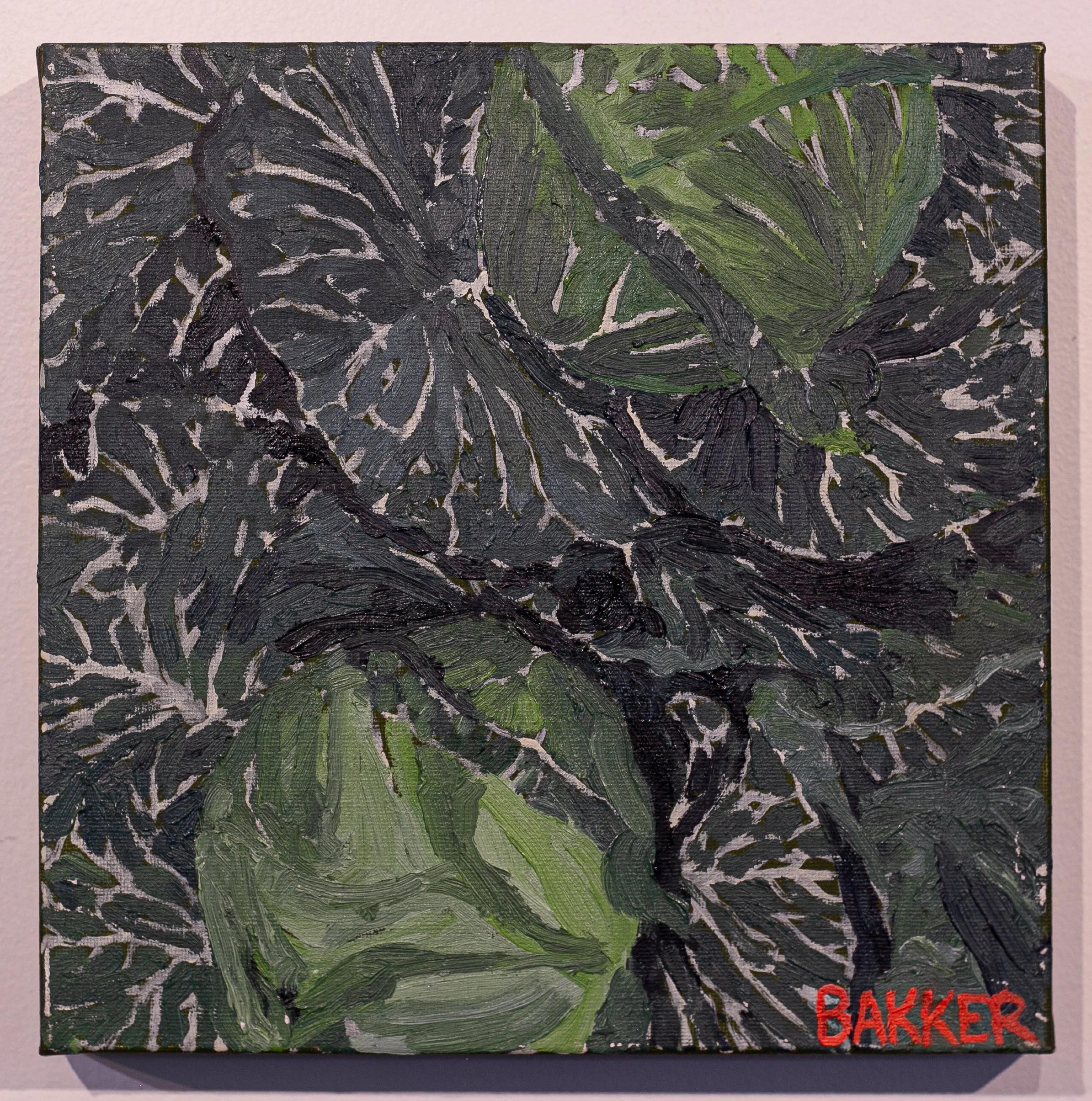 29) CABBAGE STUDY