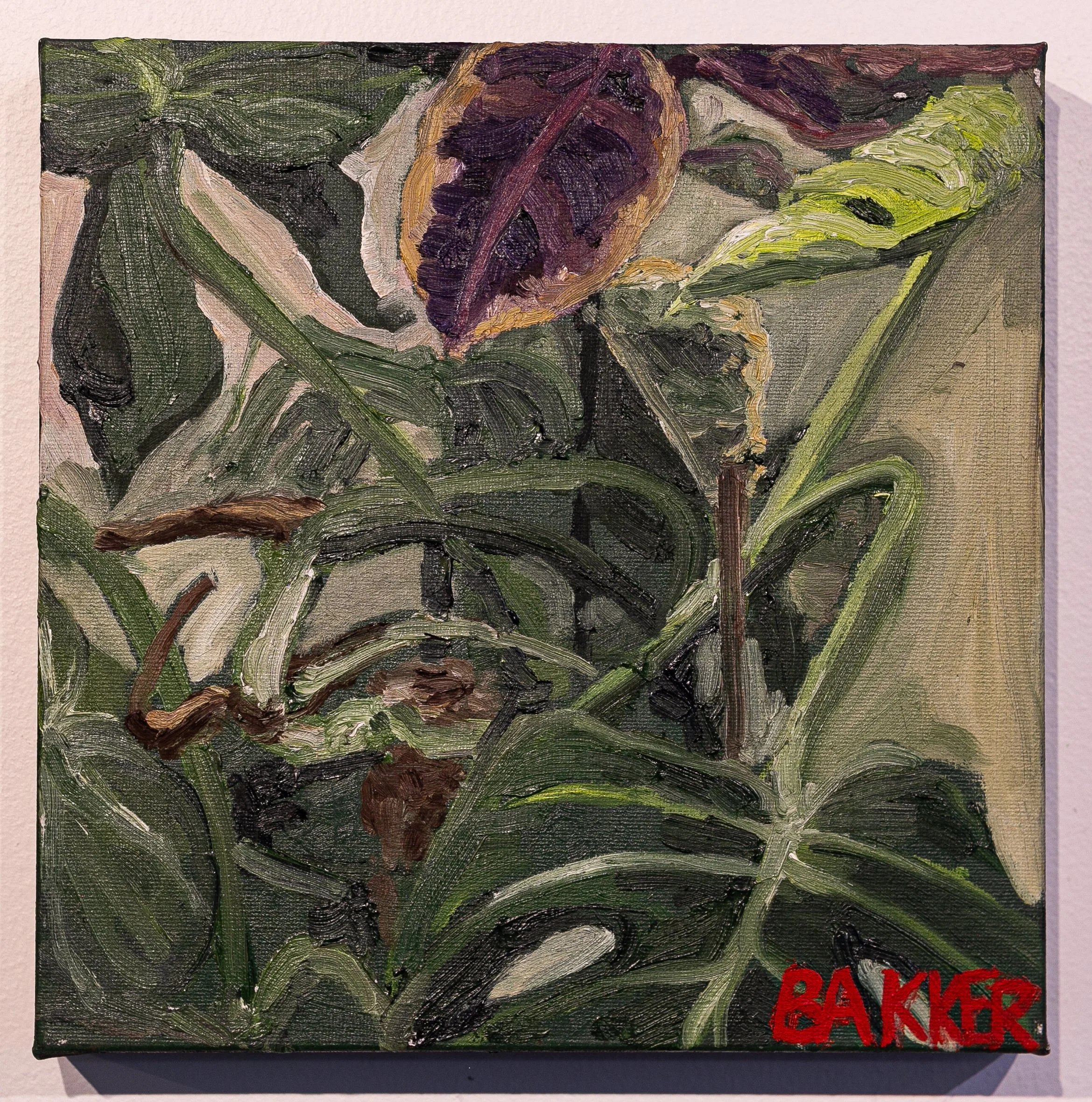 30) MONSTERA PLANT STUDY