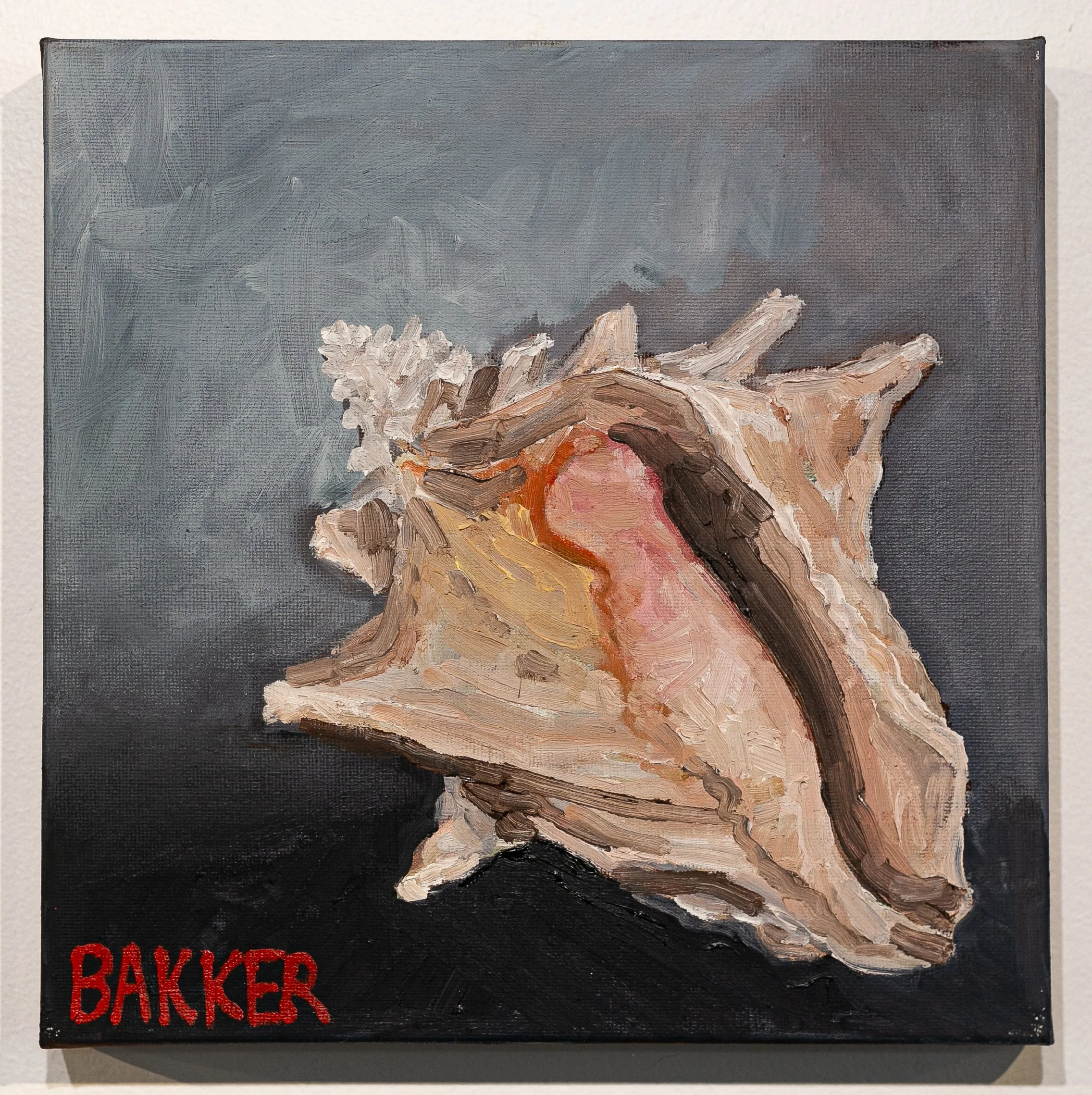 33) CONCH SHELL STUDY