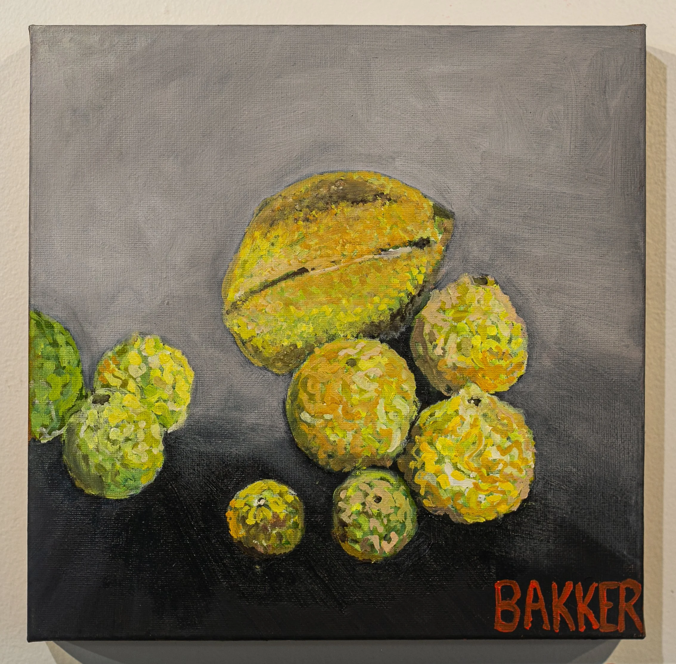 38) KAFFIER LIME STUDY
