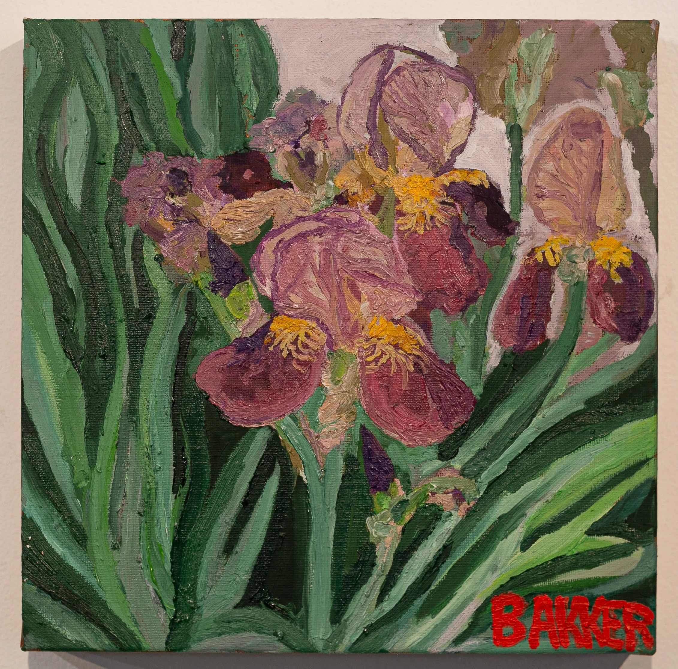 40) IRSES